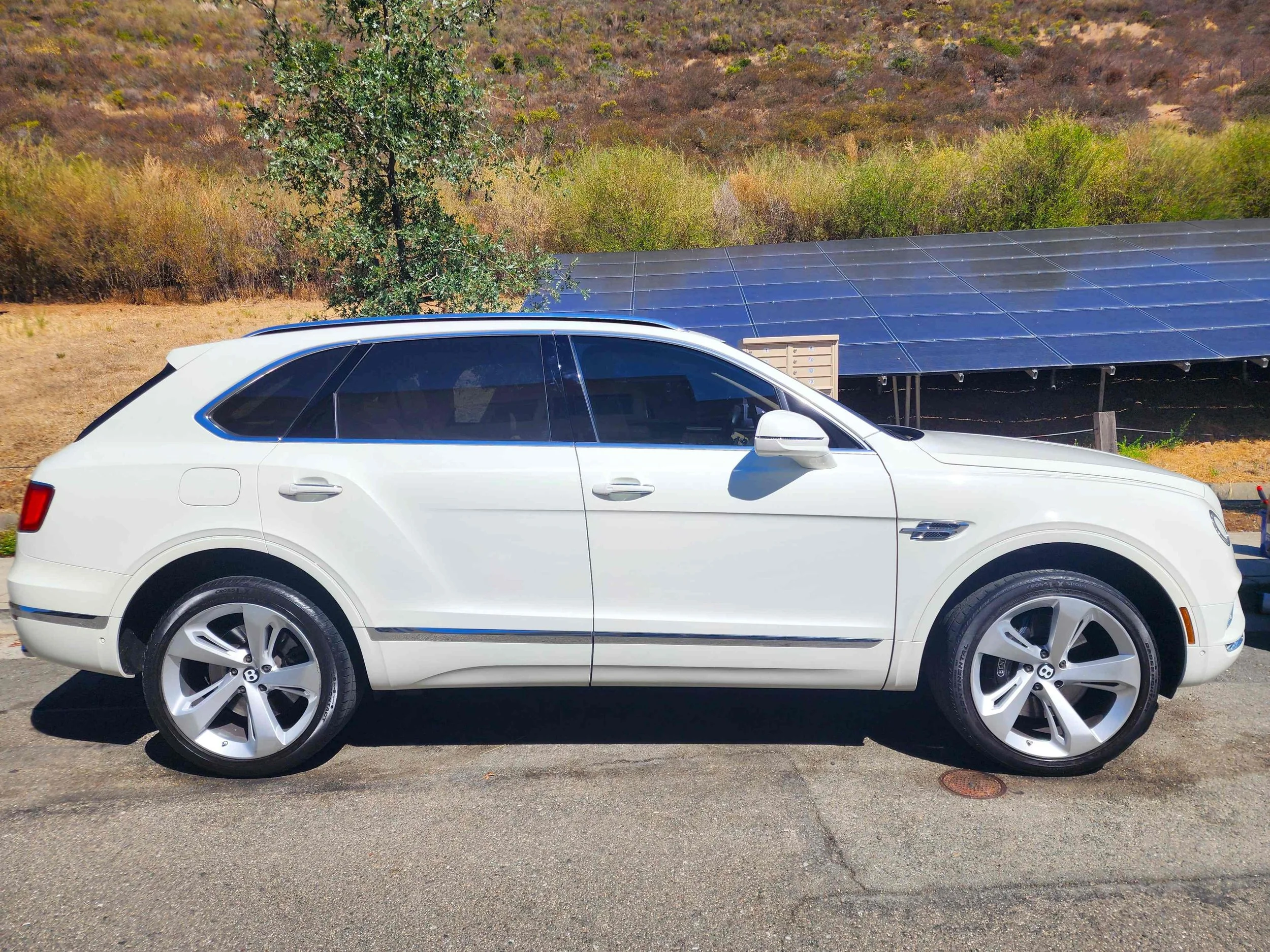clean-bentley-side-web.jpg