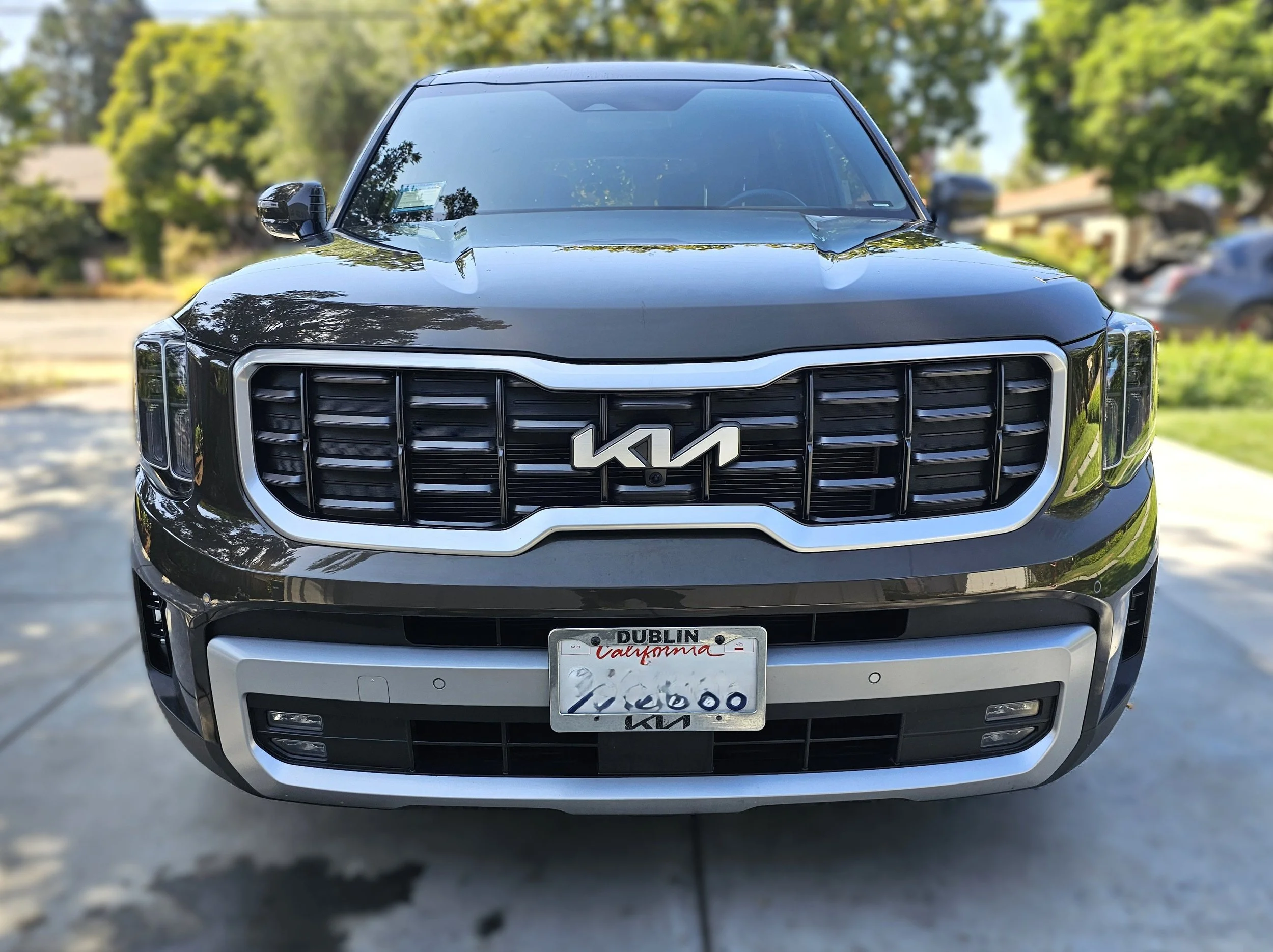Kia Telluride Signature Detail