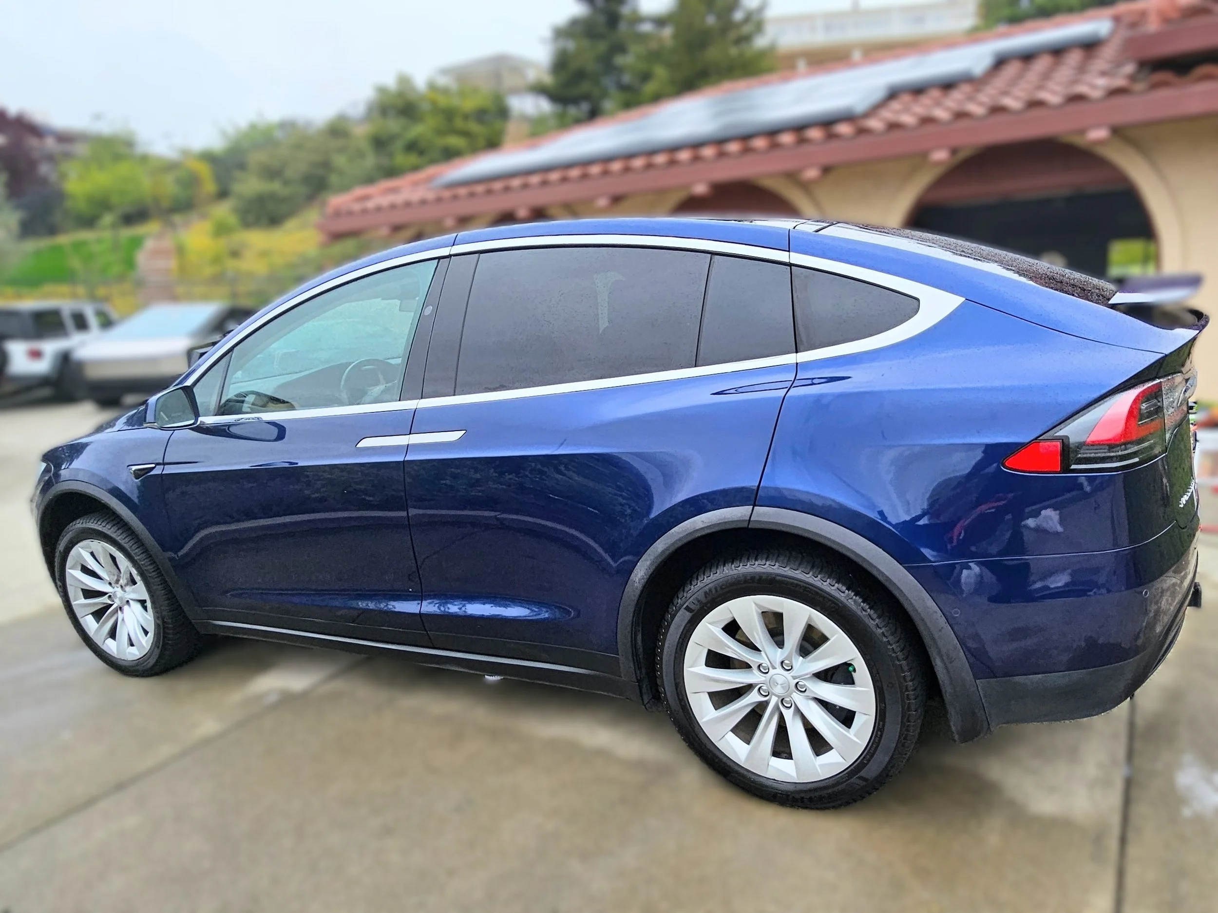 Tesla Model X Signature Detail