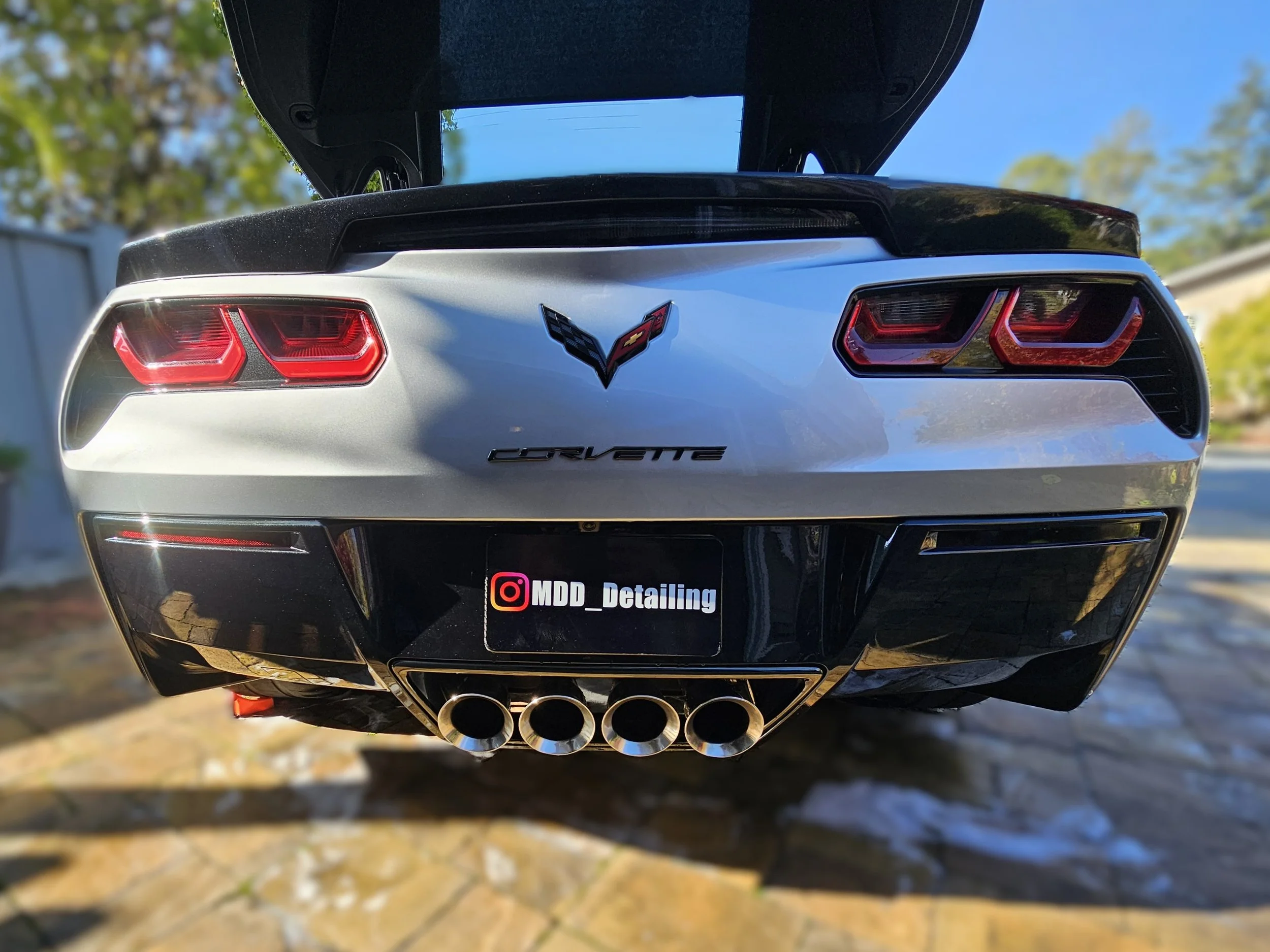 rear-clean-logo-web.jpg