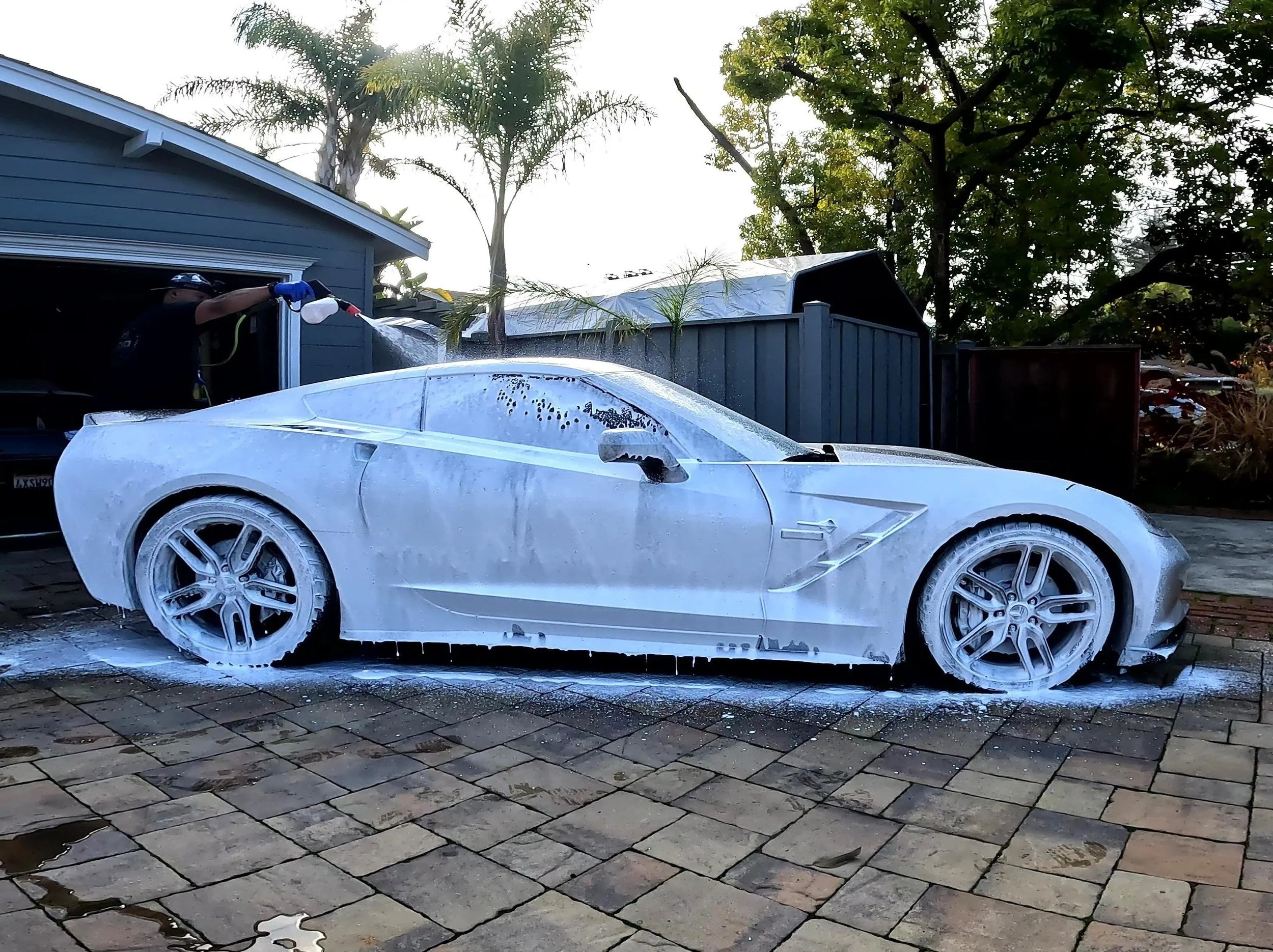 foamy1.jpg