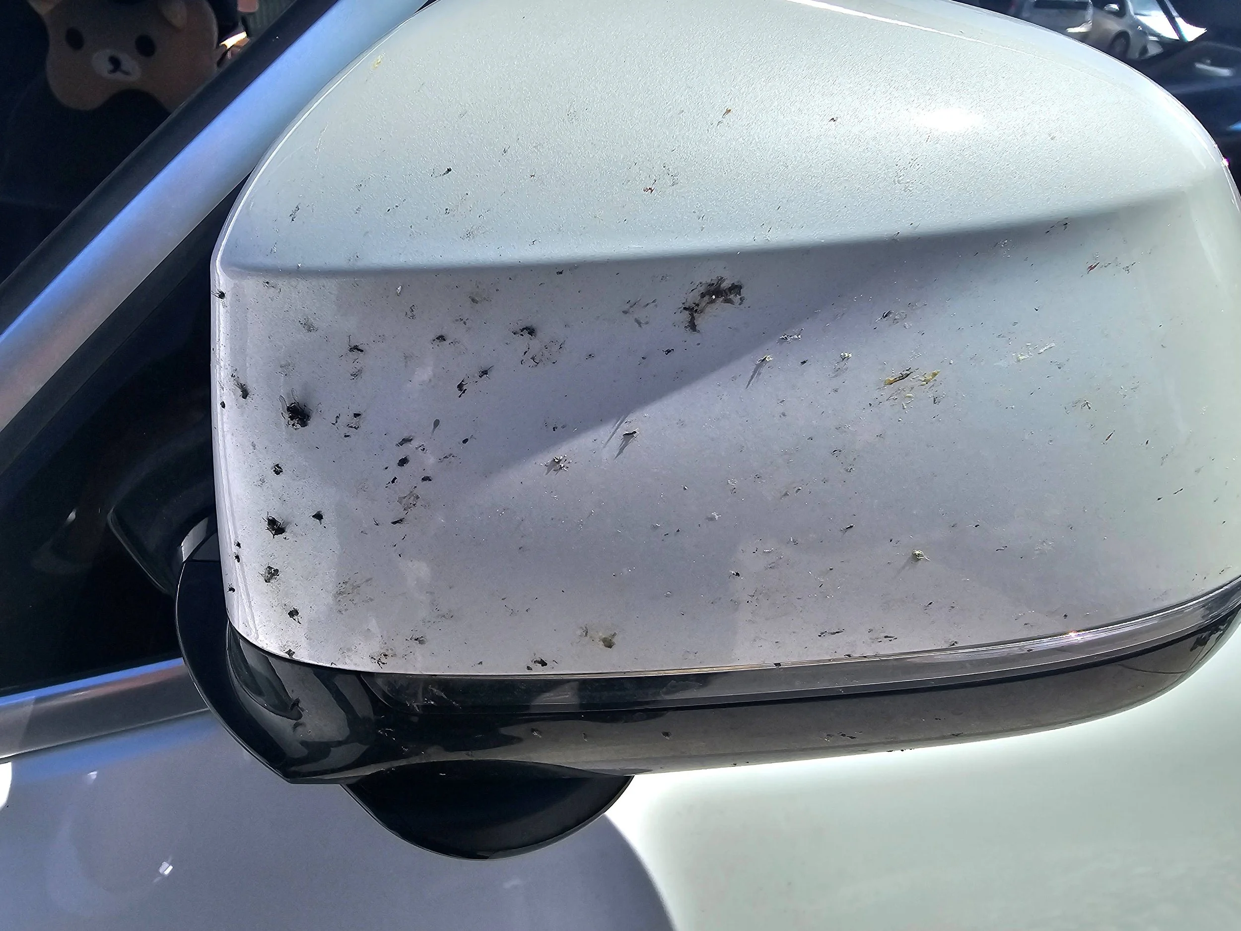 dirty-mirror-web.jpg