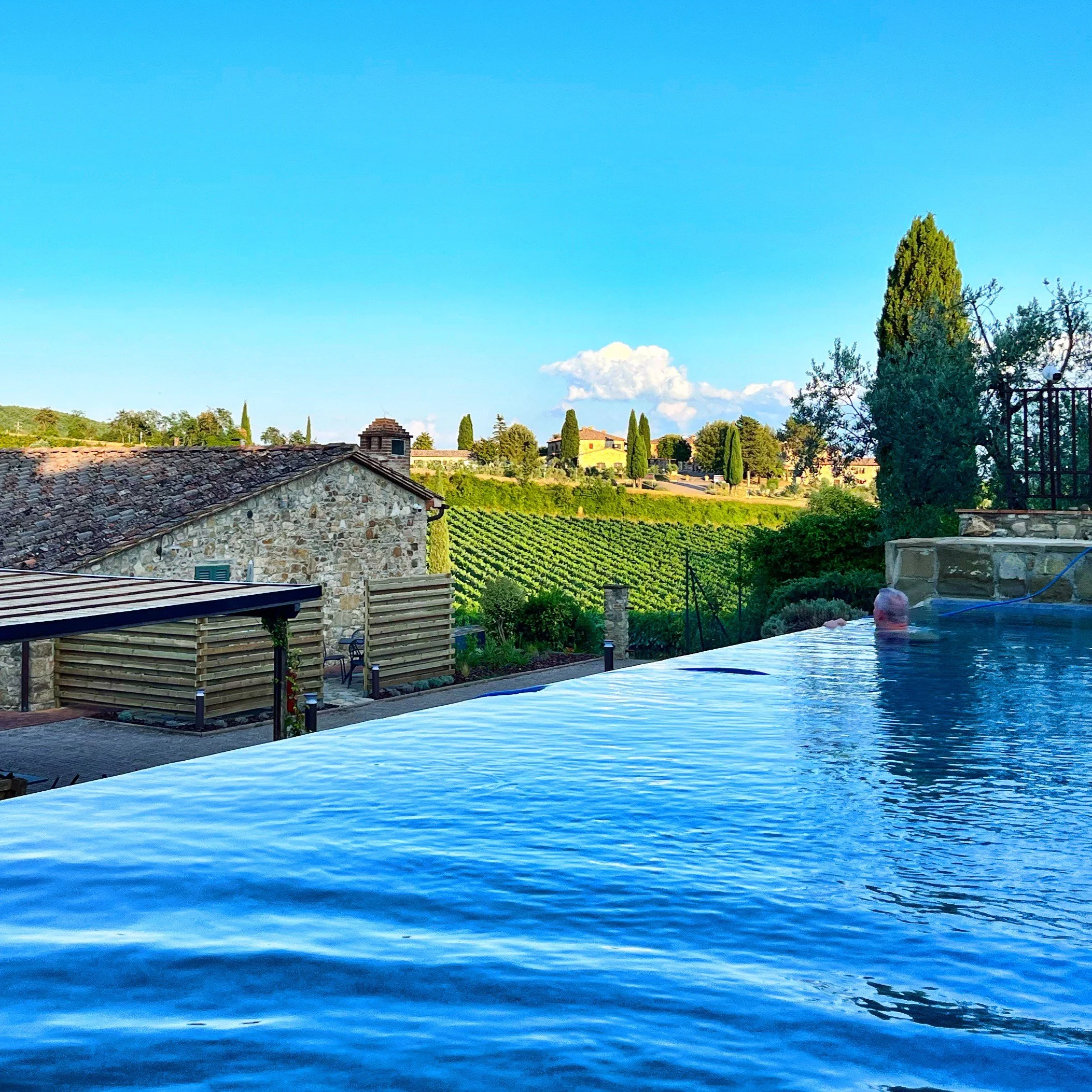 The property features an infinity swimming pool, sun terrace, and lush garden.