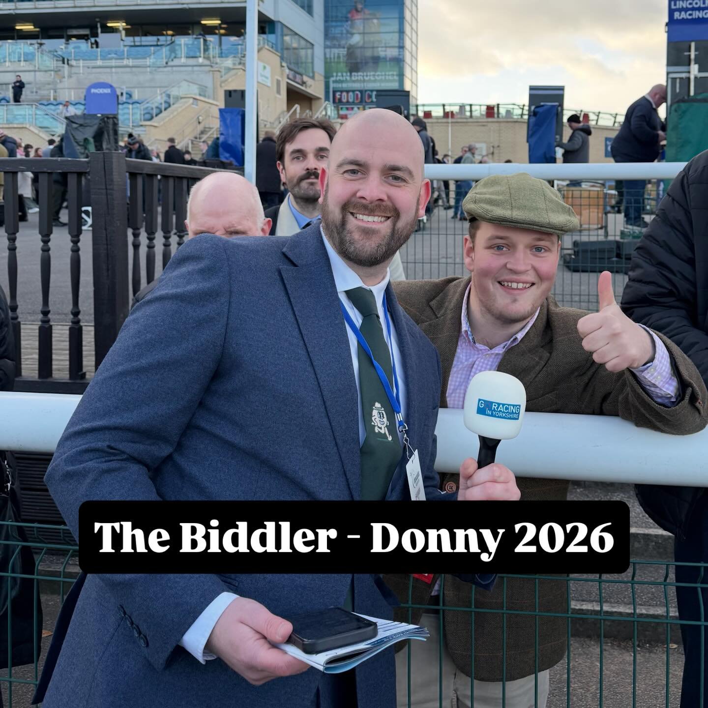 The Biddler - Donny 2026 🐎