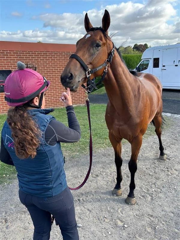 Content Creation for Racing Yards & Stables