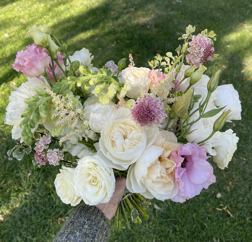 Screen Shot 2024-11-08 at 2.54.20 PM.png