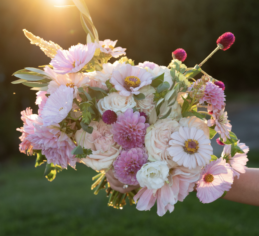 Screenshot 2024-09-11 at 1.17.27 PM.png