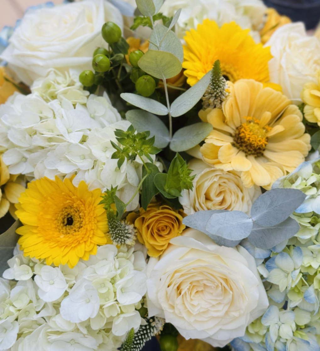 Screen Shot 2024-09-14 at 8.44.08 PM.png