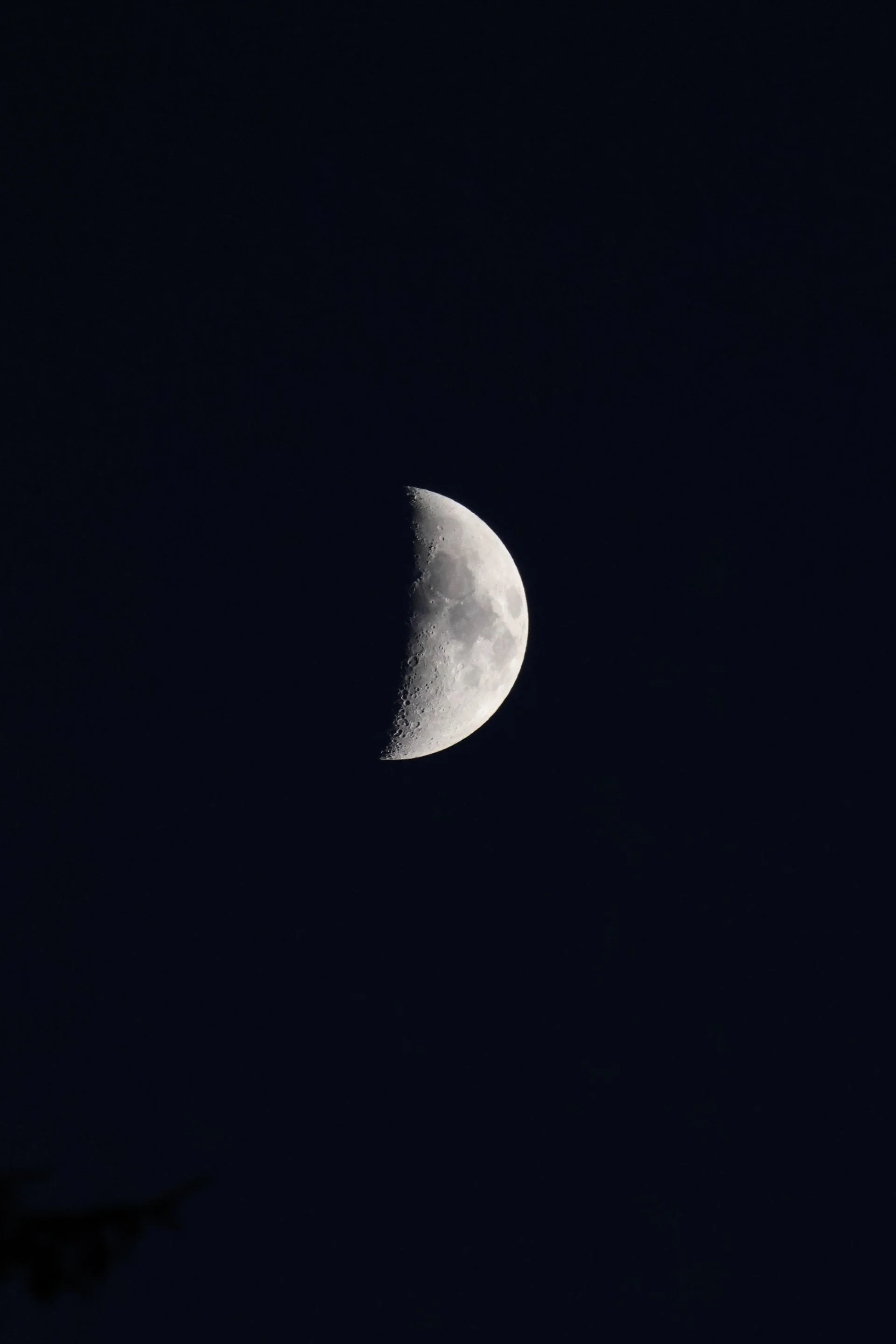 9Q7A0390.jpg