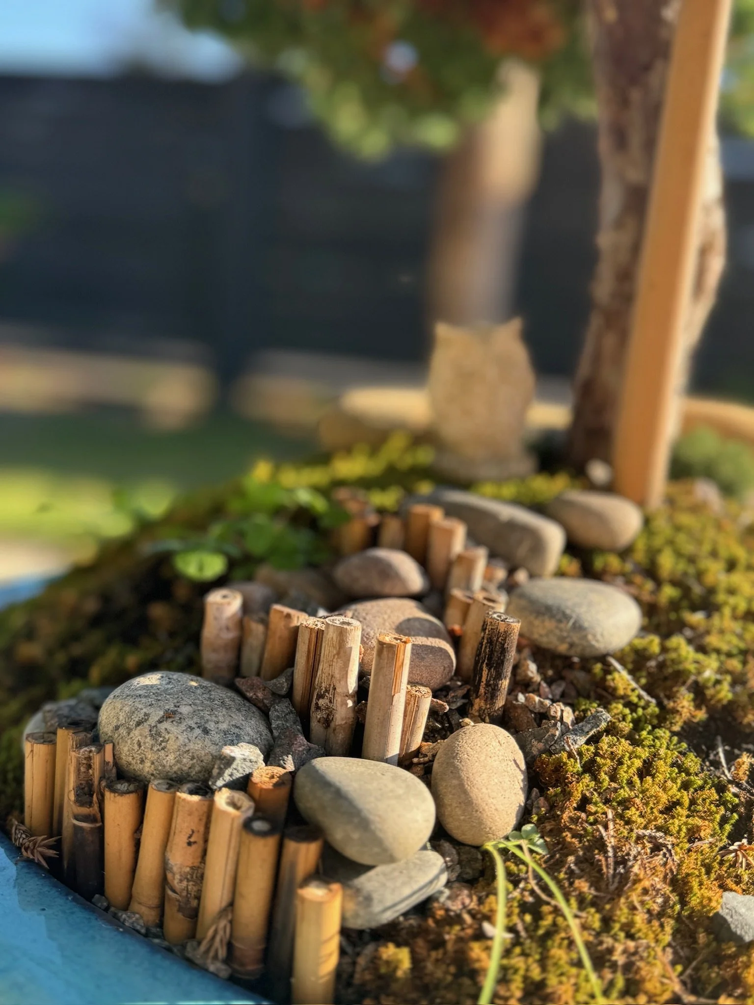 Close-up of a rock structure in a zen garden in Charleston, South Carolina, highlighting natural textures and balance.
