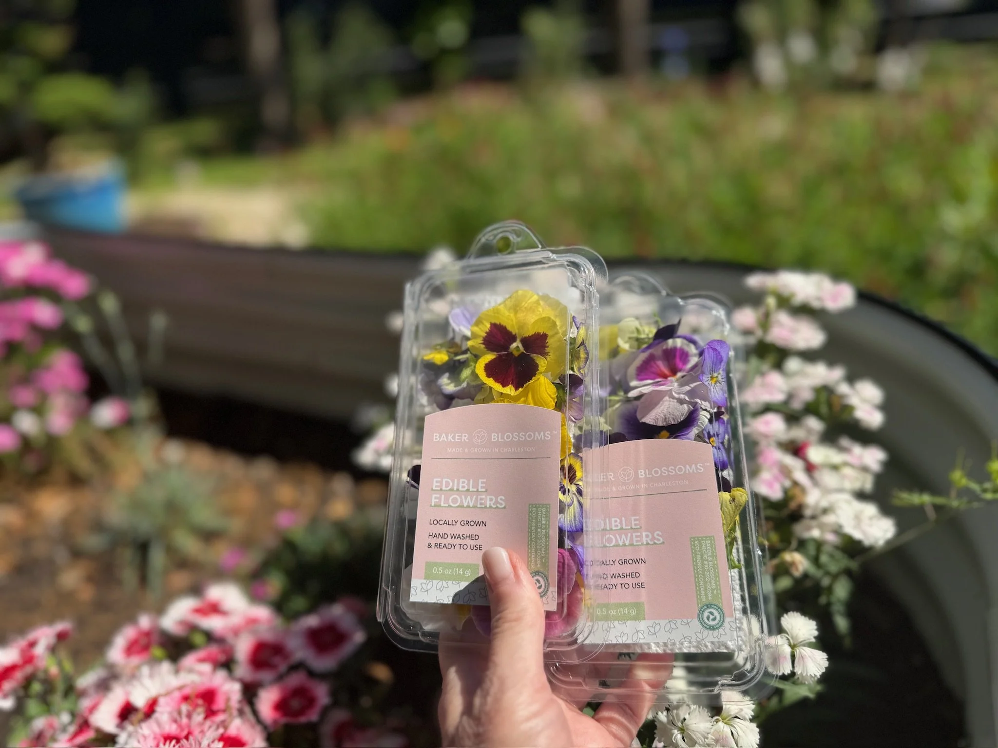 Ann Zalla holding a bouquet of edible flowers sourced from a local Charleston business.