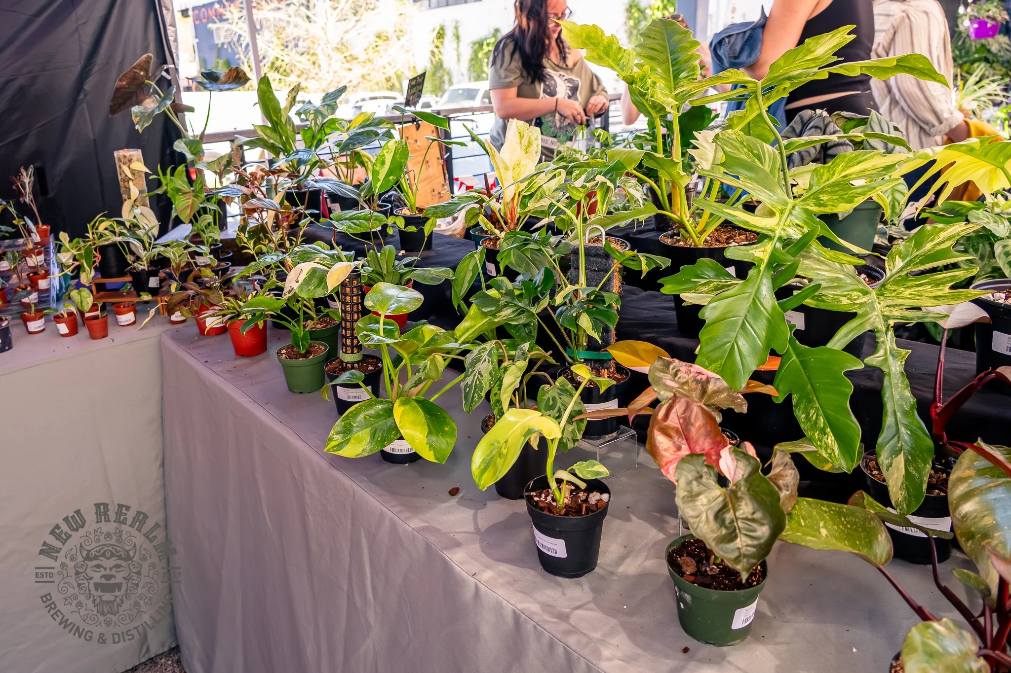 New Realm Veggie Plant Fest 03-28-2026-11.jpg