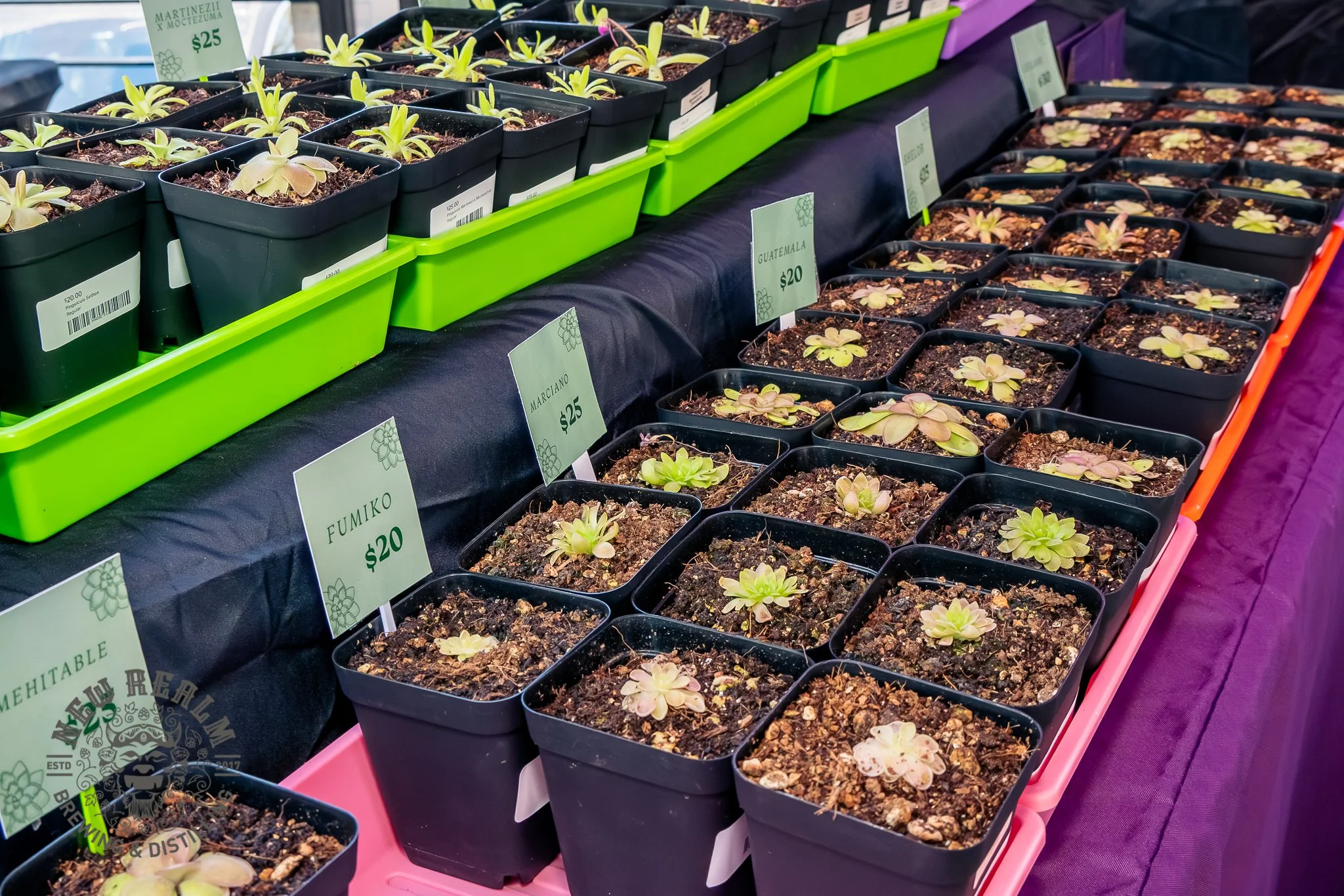 New Realm Veggie Plant Fest 03-28-2026-9.jpg