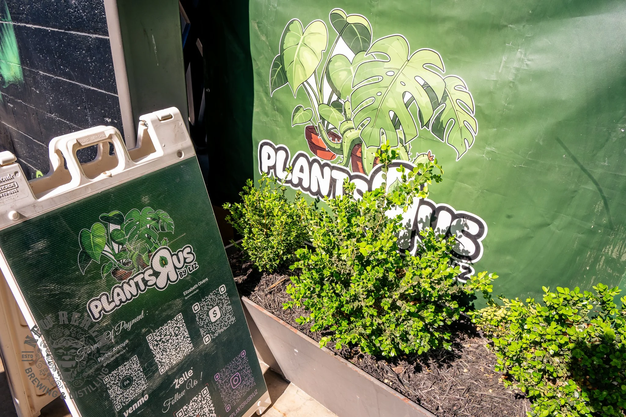 New Realm Veggie Plant Fest 03-28-2026-101.jpg