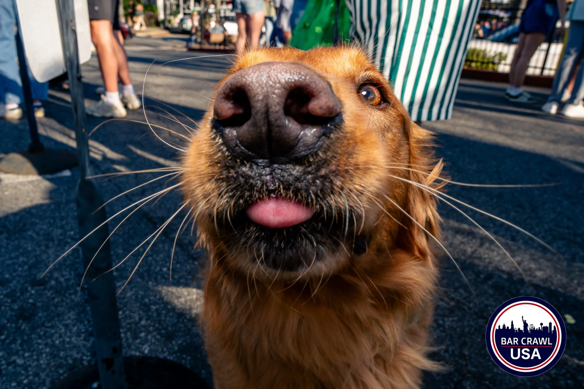 Bar Crawl USA St. Patty's Day 03-14-2026-19.jpg