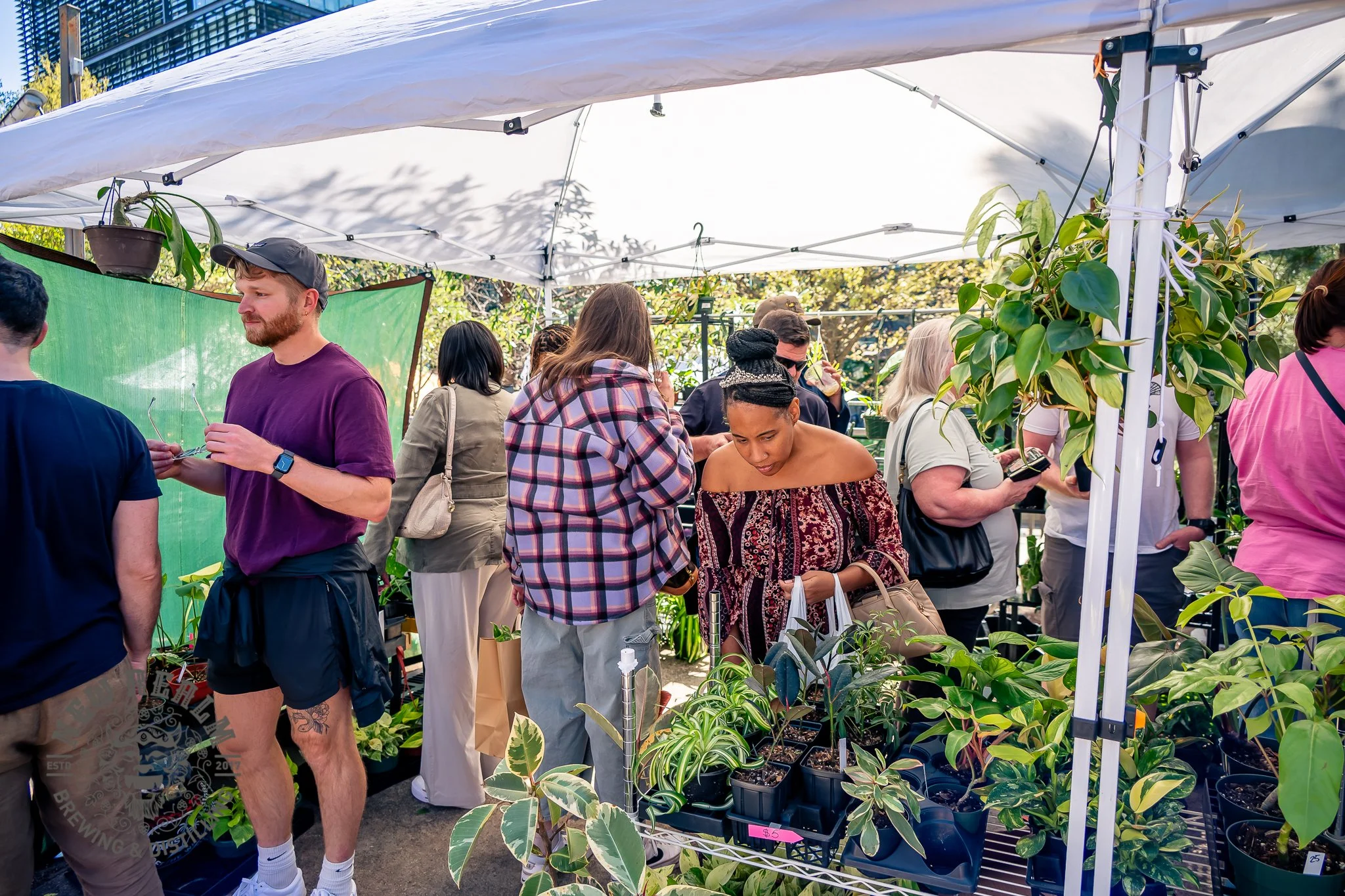 New Realm Veggie Plant Fest 03-28-2026-105.jpg