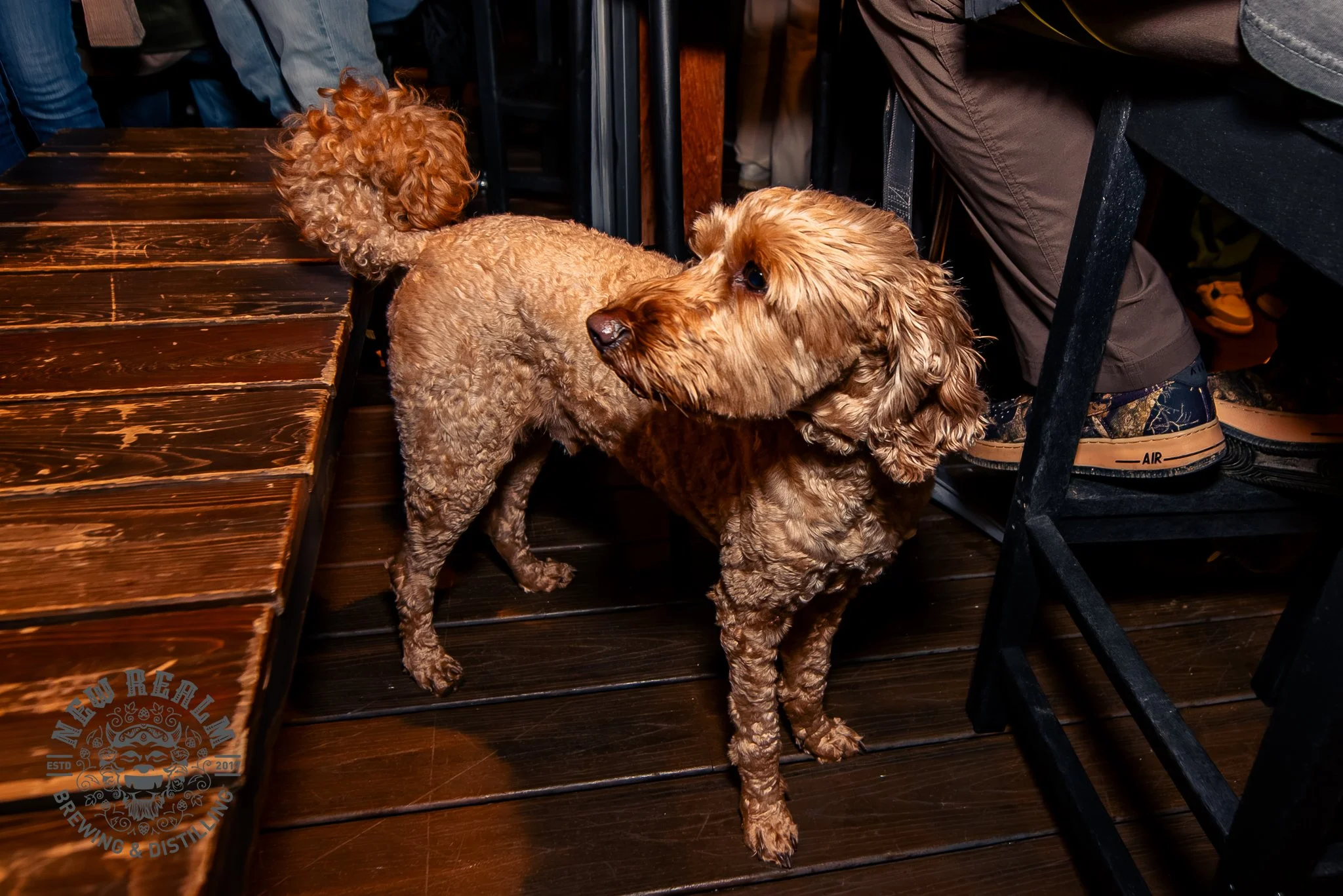 Apres Ski Party-58.jpg