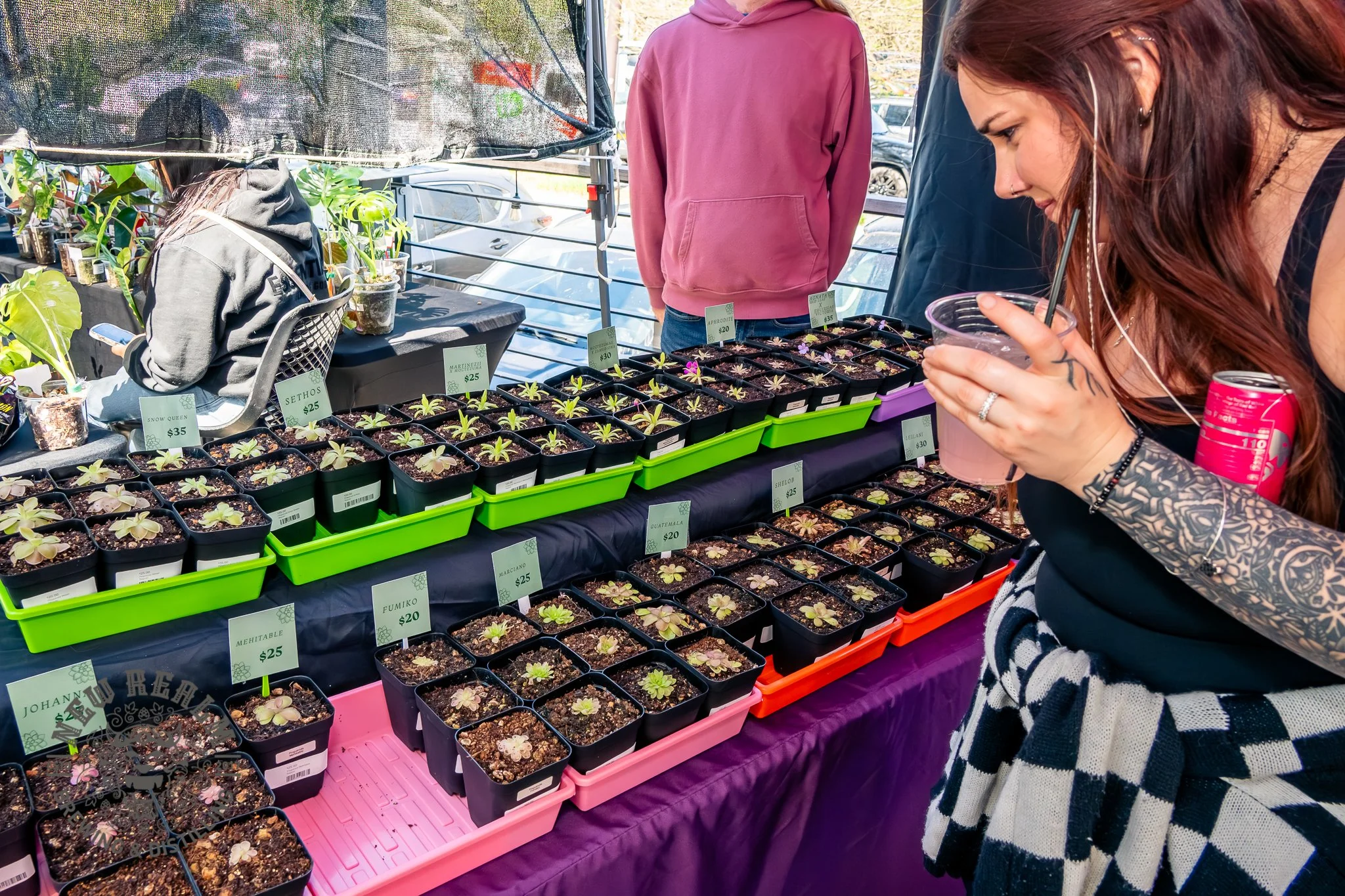 New Realm Veggie Plant Fest 03-28-2026-8.jpg