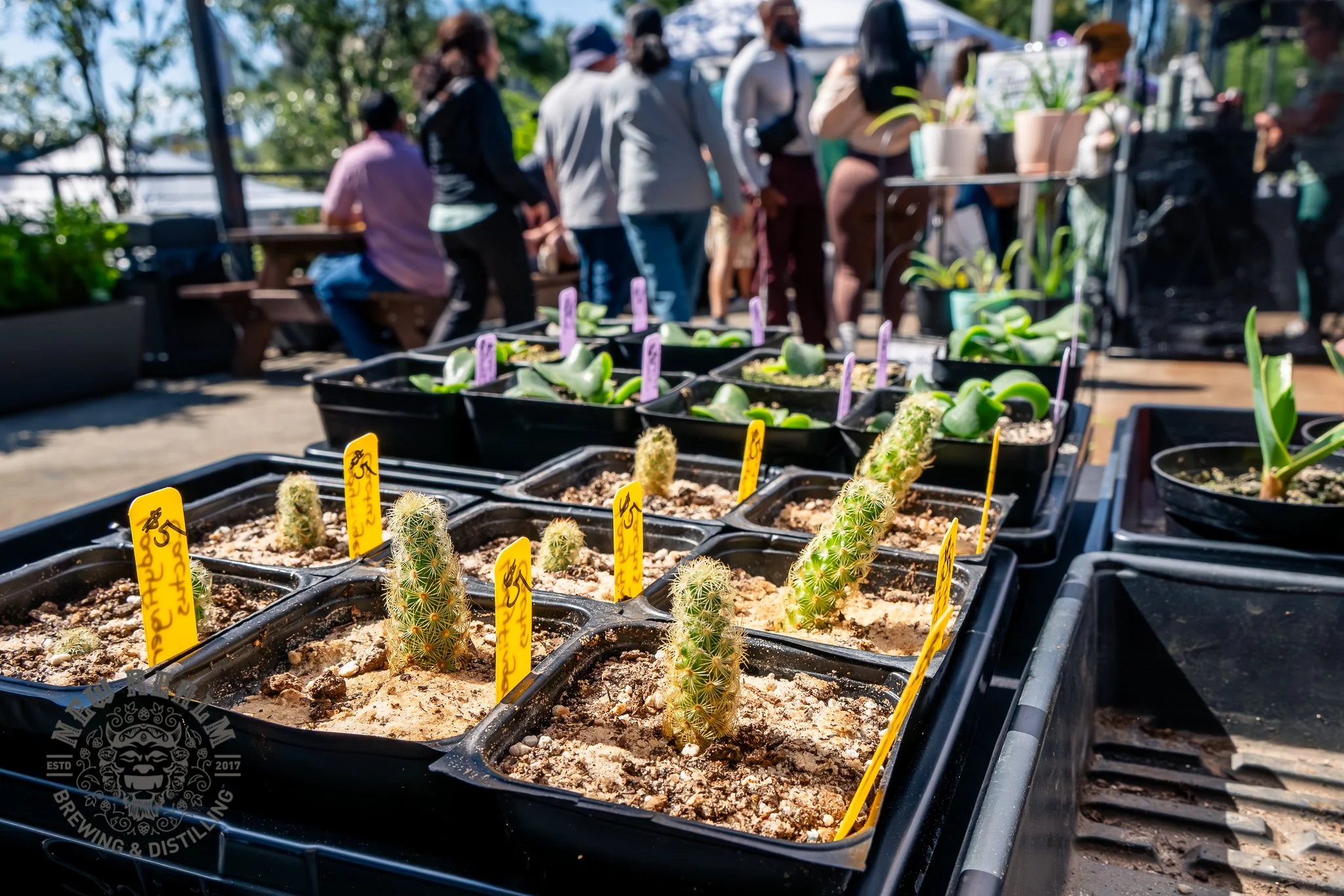 New Realm Veggie Plant Fest 03-28-2026-59.jpg