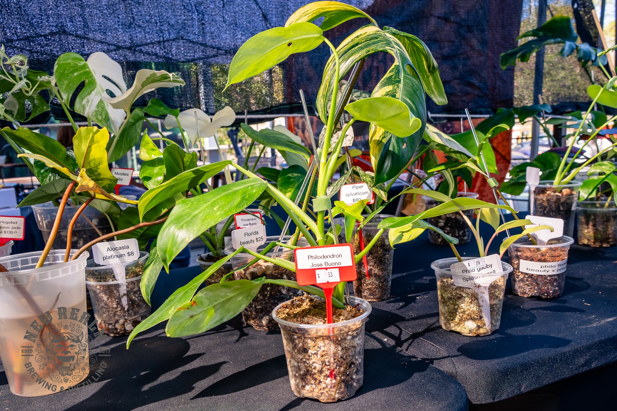 New Realm Veggie Plant Fest 03-28-2026-6.jpg