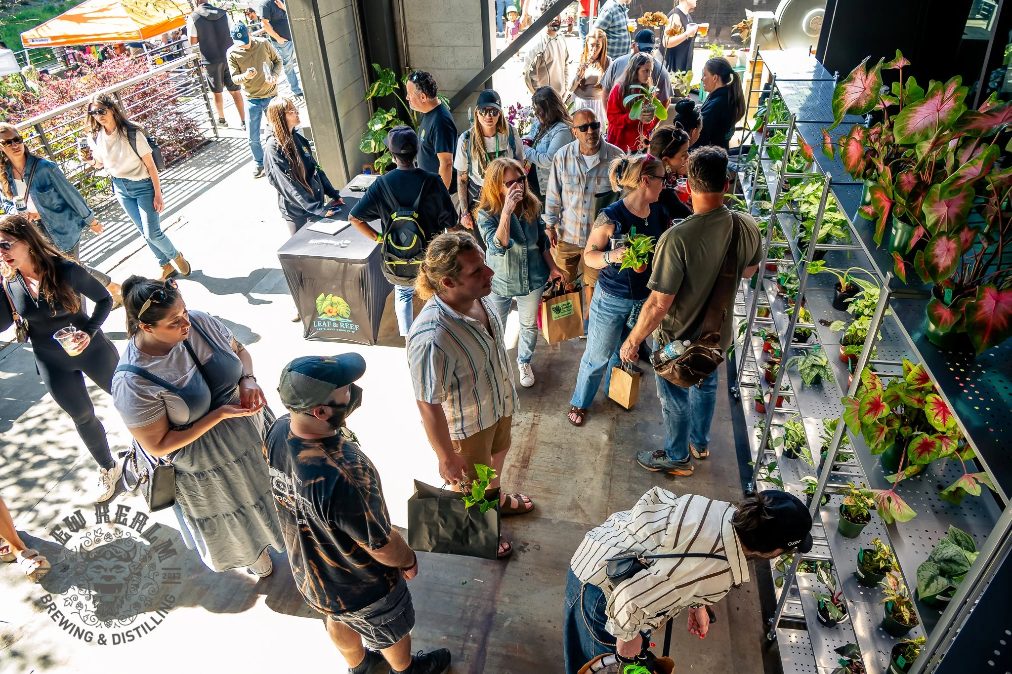 New Realm Veggie Plant Fest 03-28-2026-71.jpg