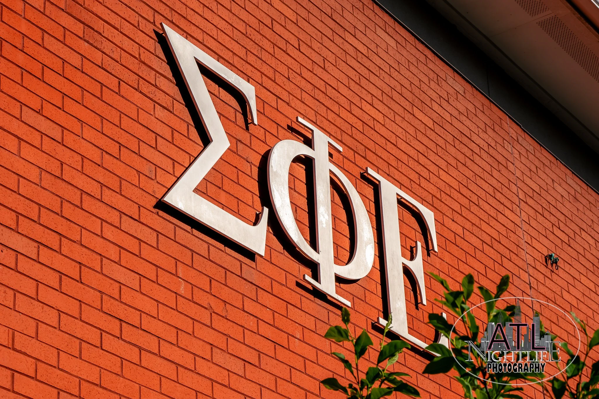 GT IFC Porchfest-75.jpg