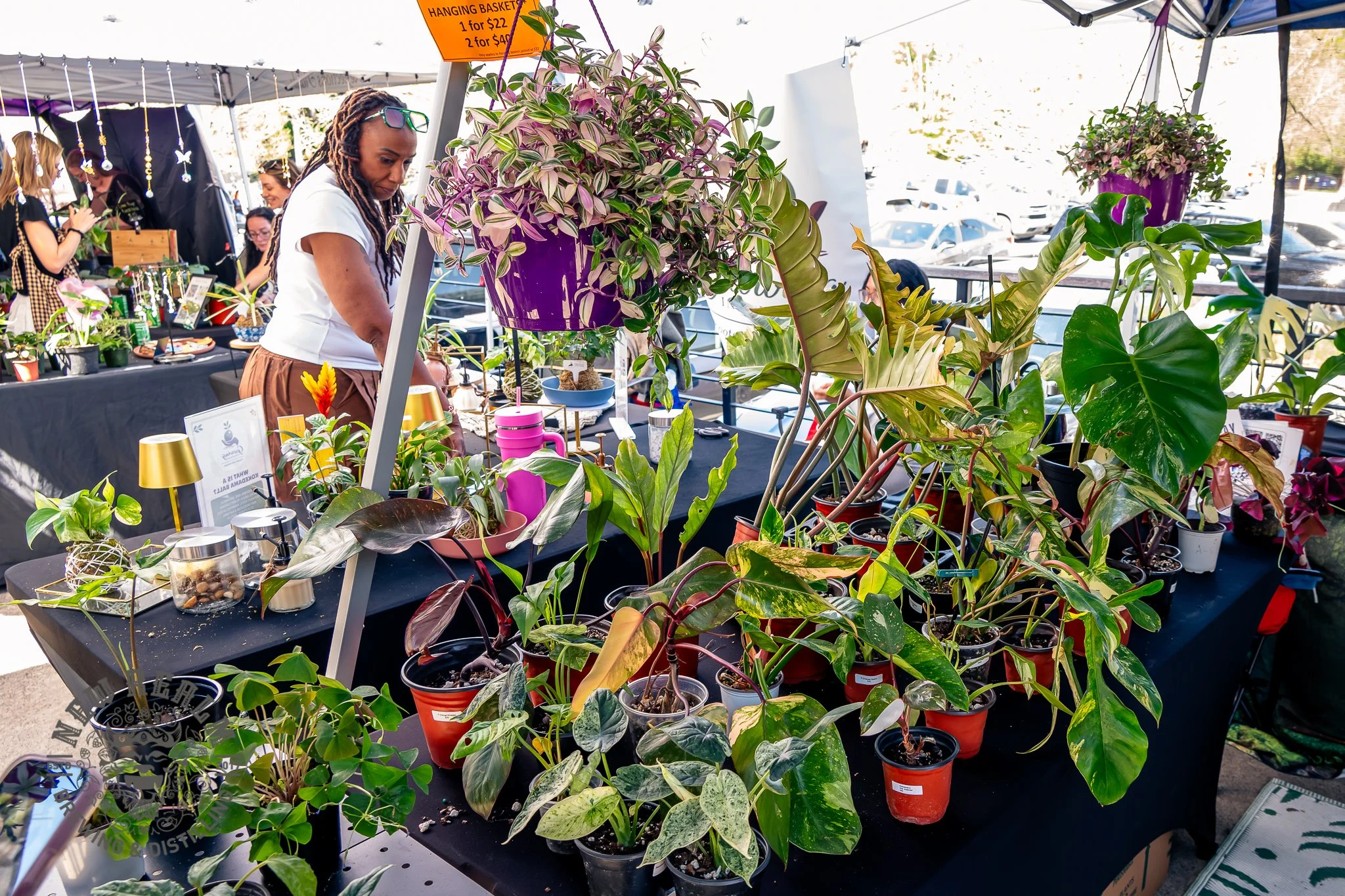 New Realm Veggie Plant Fest 03-28-2026-22.jpg