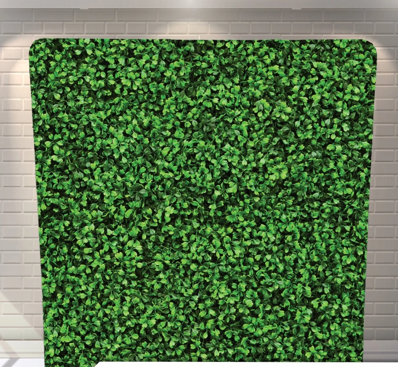 Hedge Backdrop 5x7.jpg