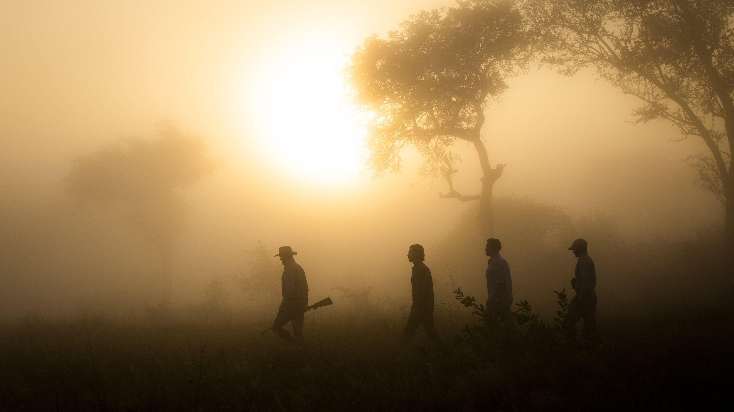 Bush Walk Mist Sunrise.jpg