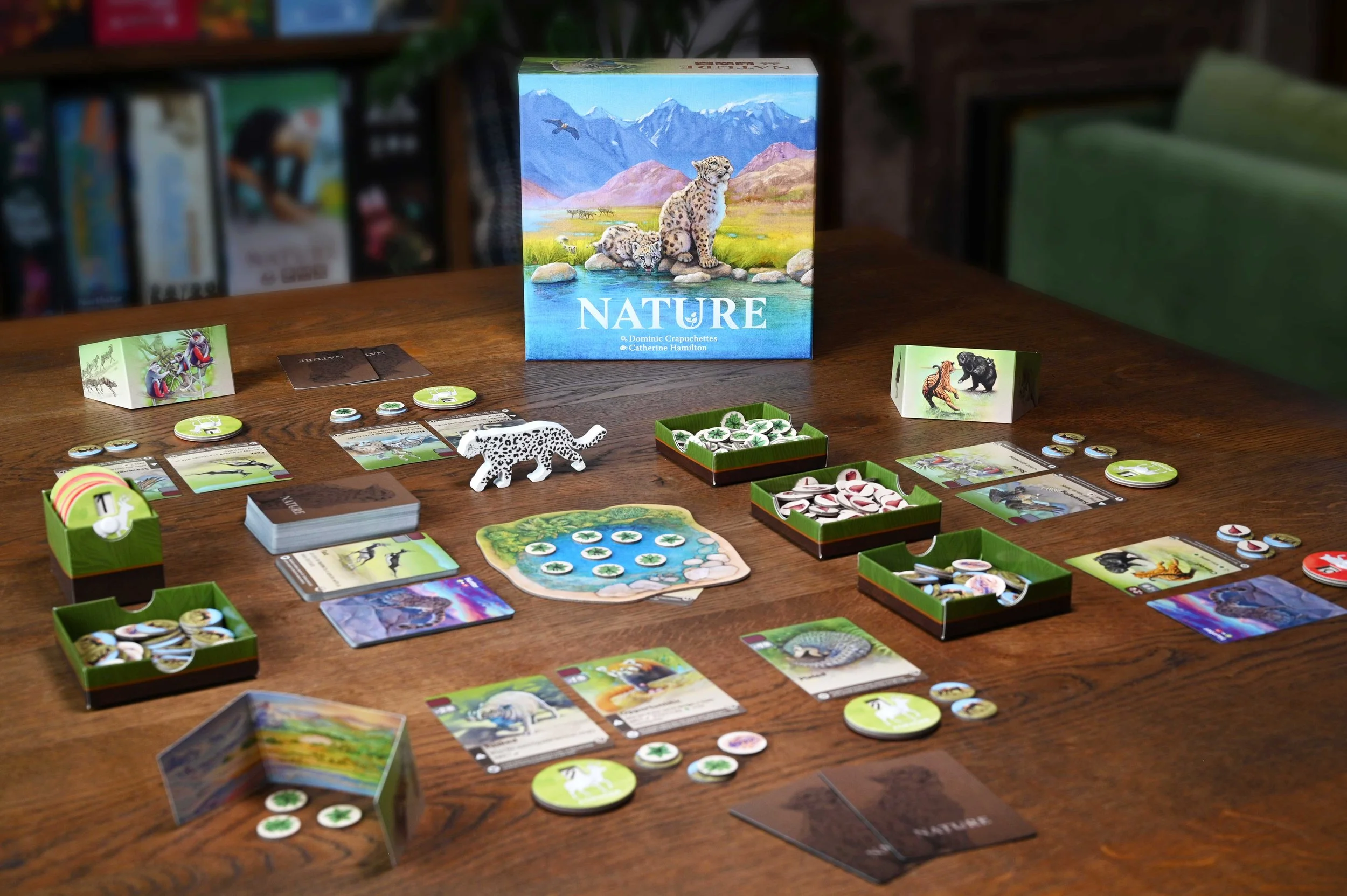 Game night: Meet the designer + Open play!