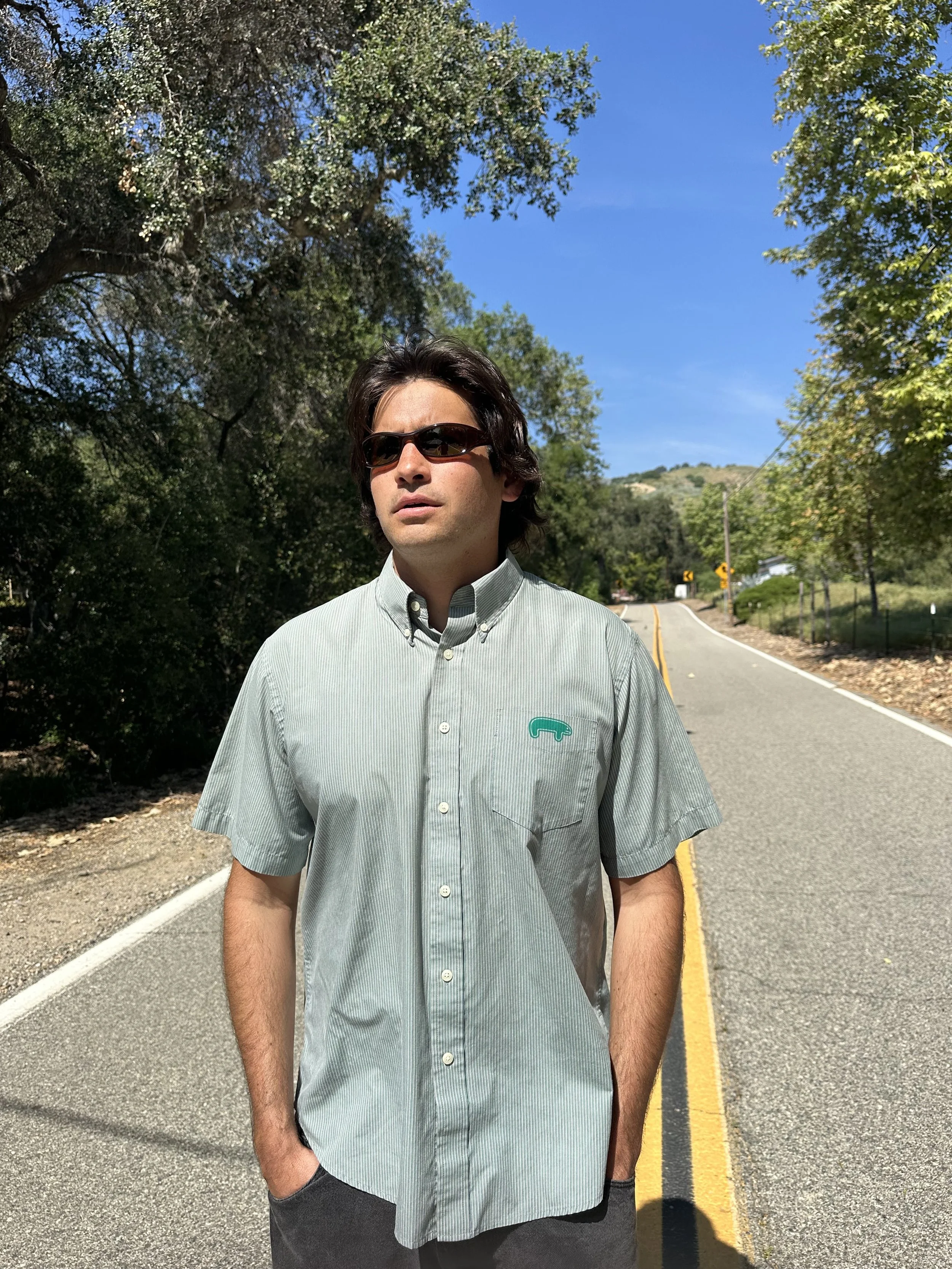 Green Striped Button-Up (L)