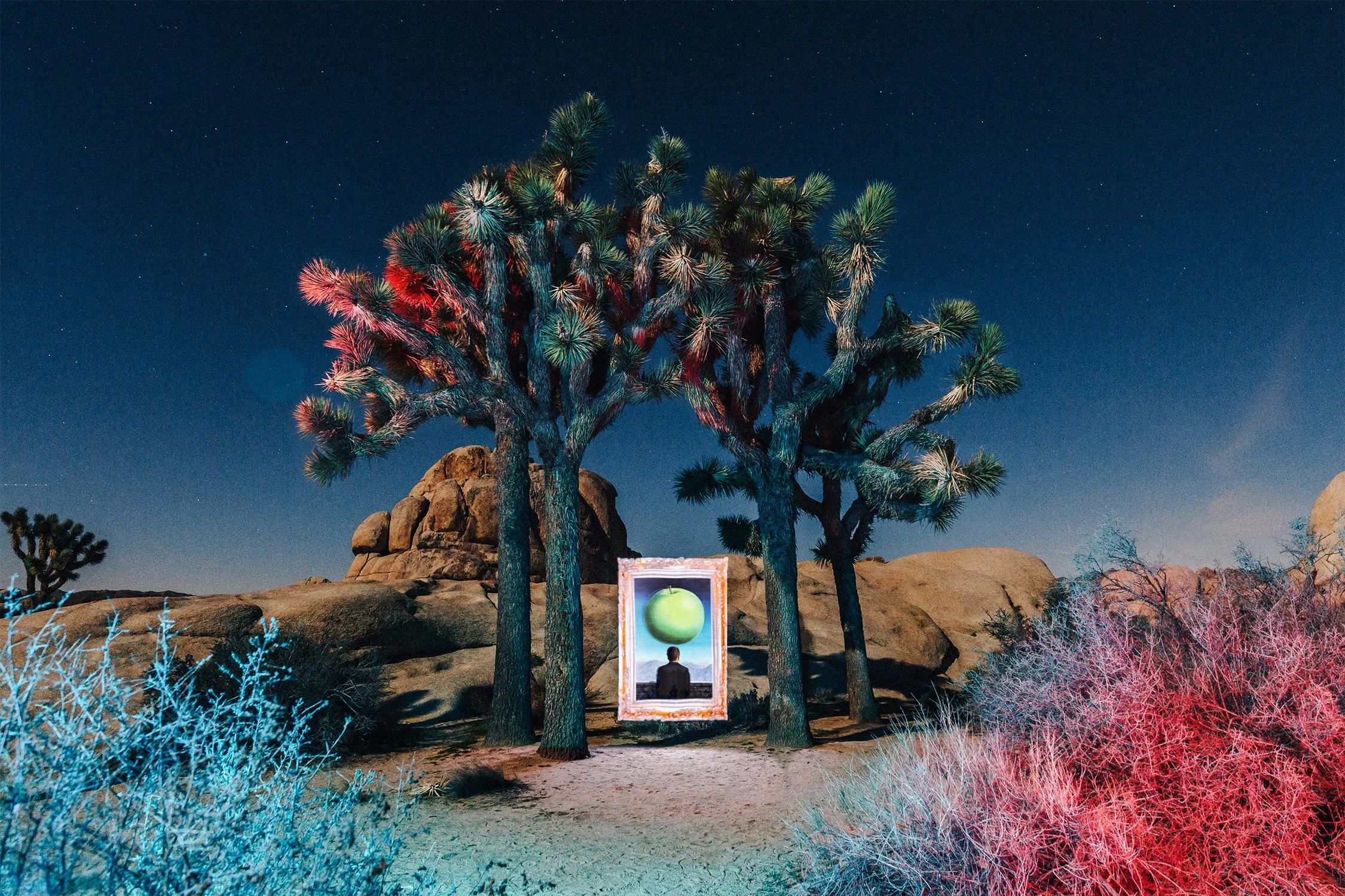 magritte postcard.jpg