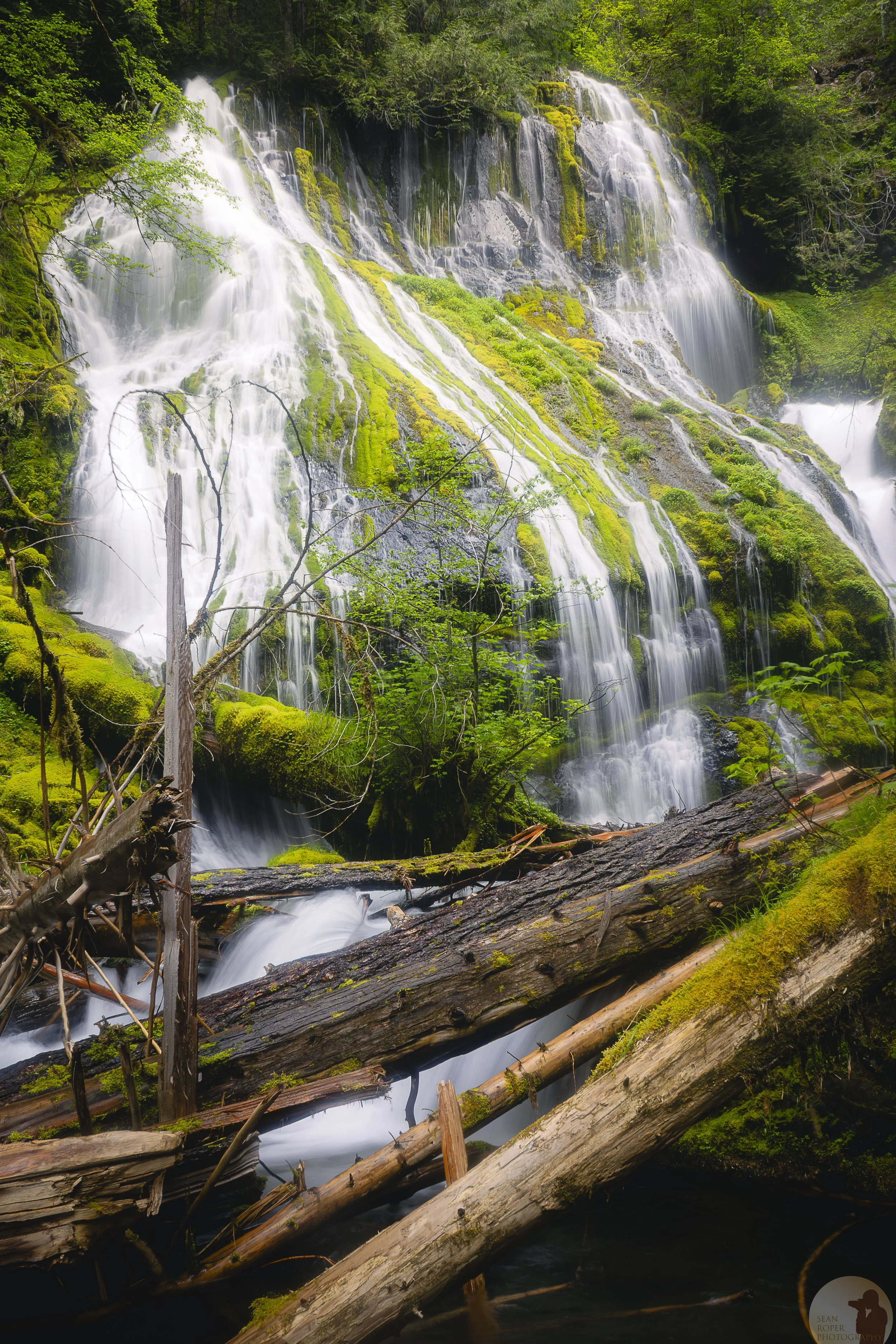 Panther Creek Falls watermark.jpg