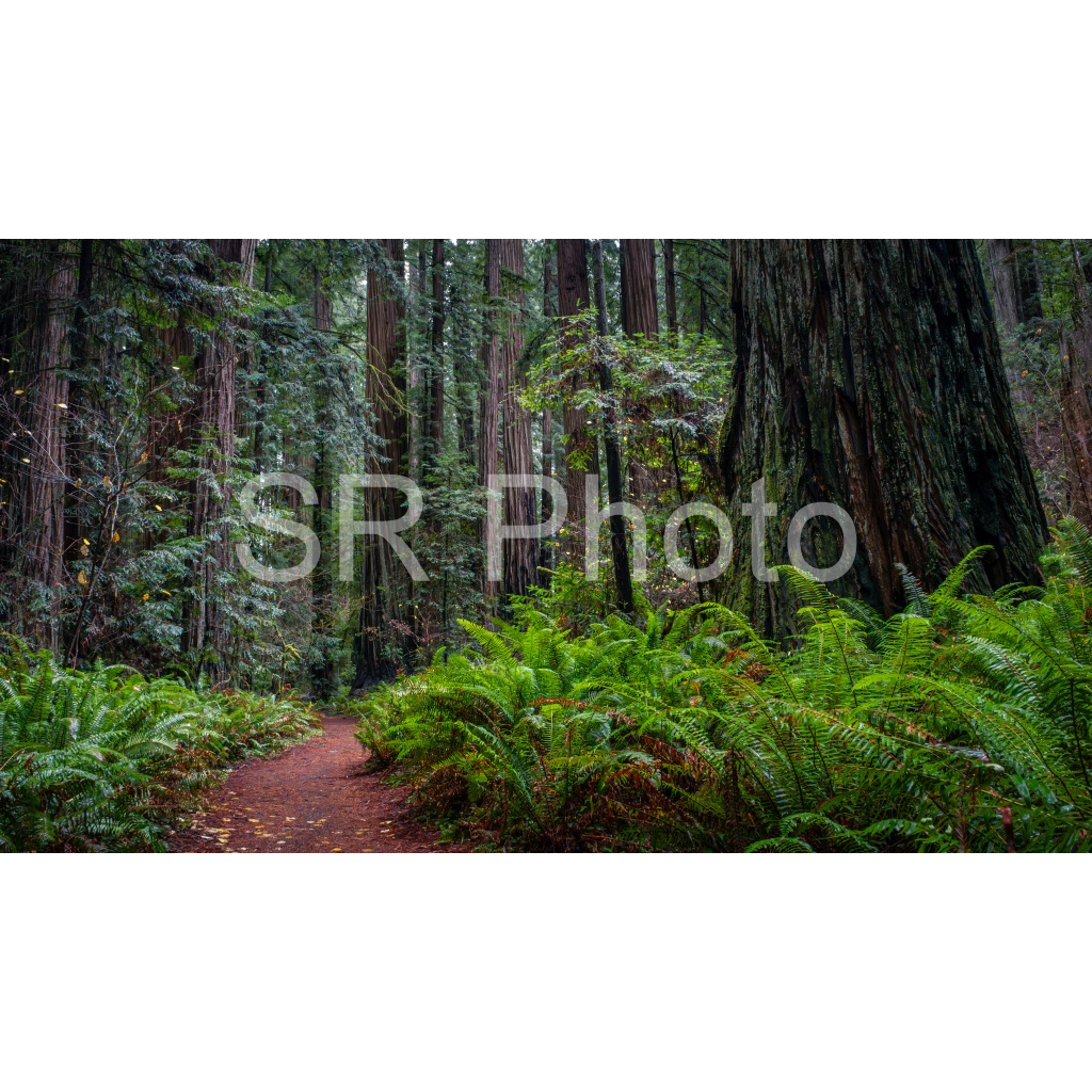 image_original_2a9e01941a9118ee54be6ff913bc1c6e.png
