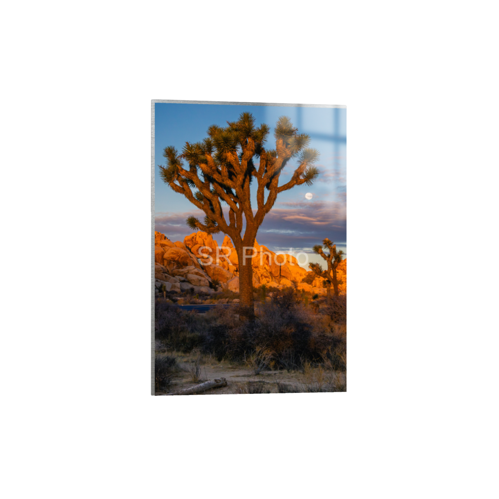 ptq_13_3_12_0_4668_7002_0_false_ffffff_0_0_2a9e01941a9118ee54be6ff913bc1c6e.png