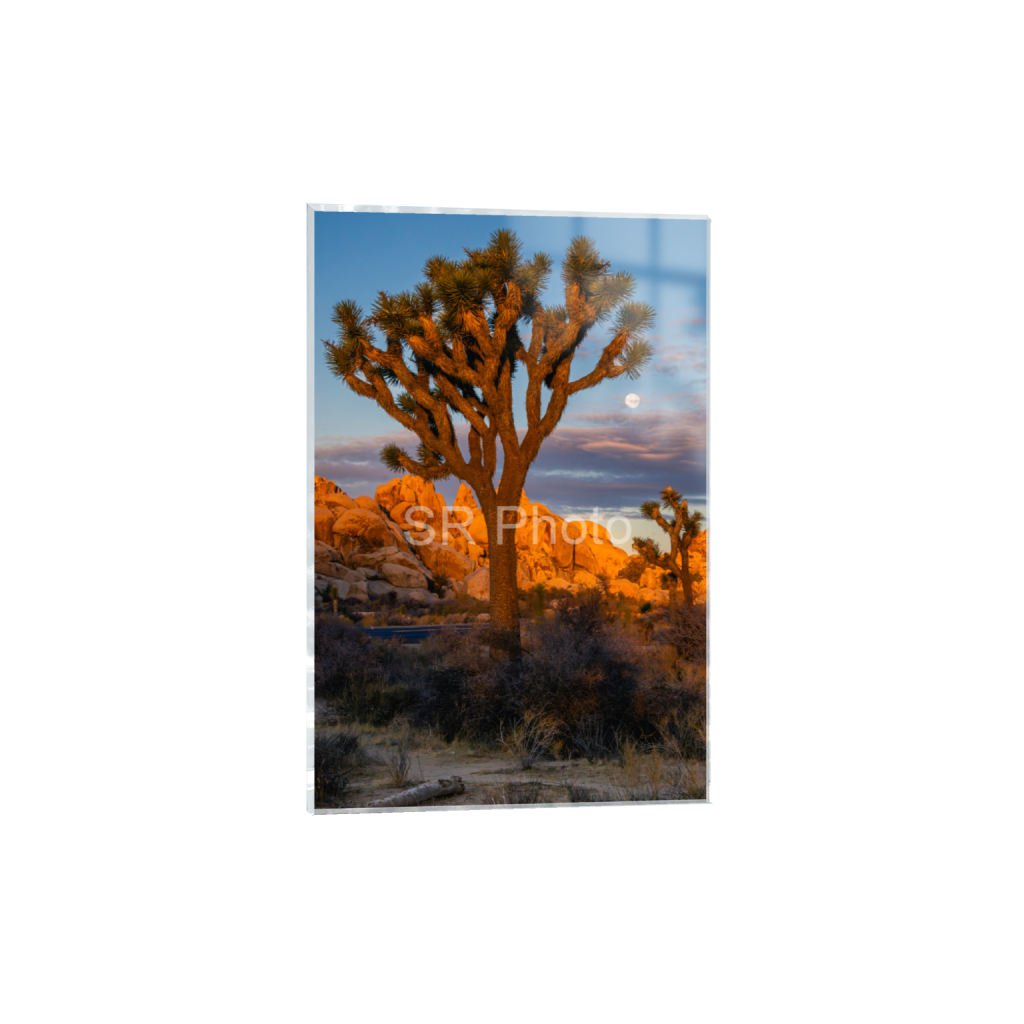 ptq_17_3_12_0_4668_7002_0_false_ffffff_0_0_2a9e01941a9118ee54be6ff913bc1c6e.png