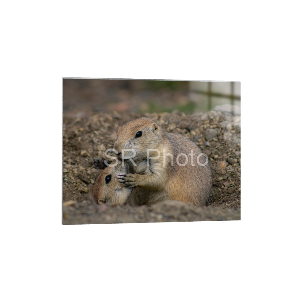 ptq_13_6_0_0_5775_4620_0_false_ffffff_0_0_2a9e01941a9118ee54be6ff913bc1c6e.png
