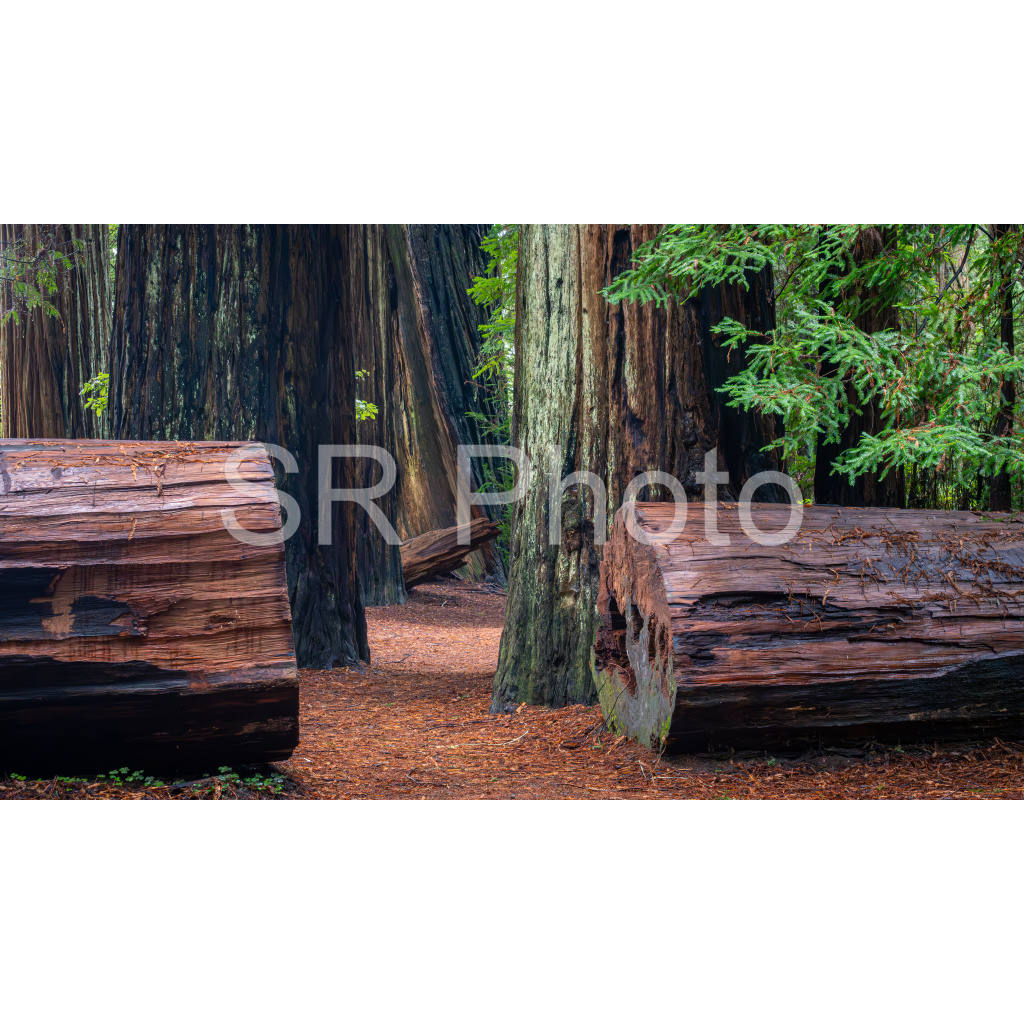 image_original_2a9e01941a9118ee54be6ff913bc1c6e.png
