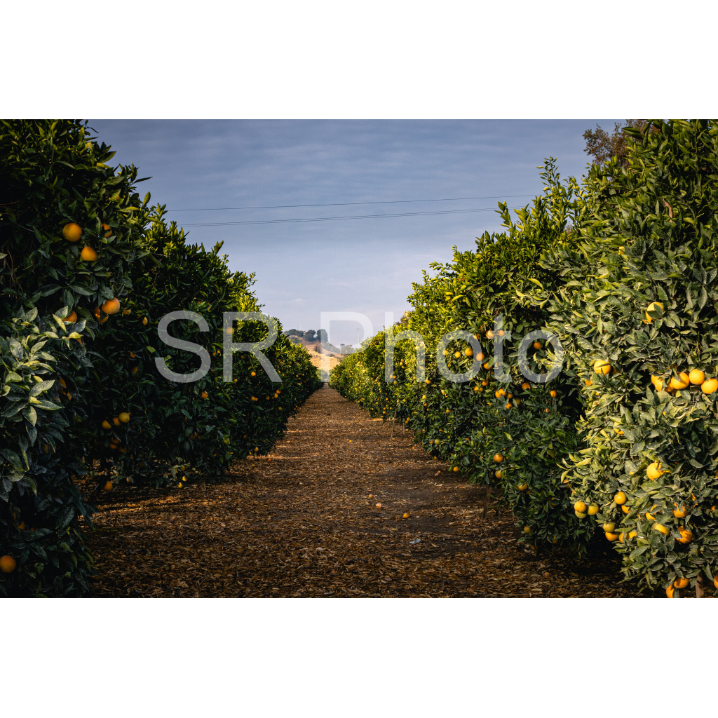 image_original_2a9e01941a9118ee54be6ff913bc1c6e.png