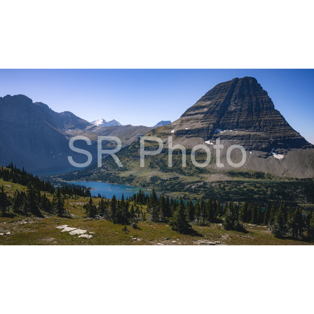 image_original_2a9e01941a9118ee54be6ff913bc1c6e.png