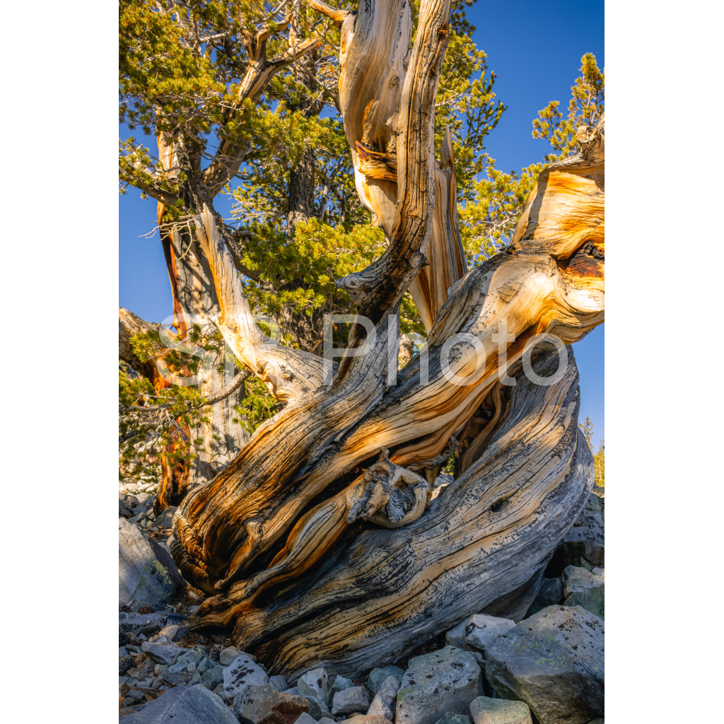 image_original_2a9e01941a9118ee54be6ff913bc1c6e.png