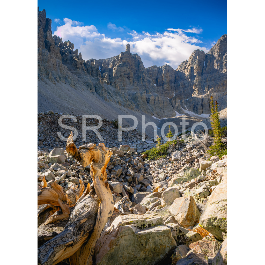 image_original_2a9e01941a9118ee54be6ff913bc1c6e.png