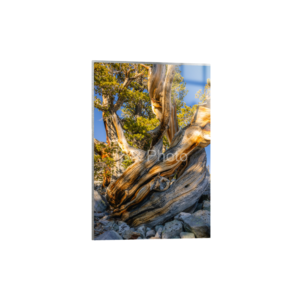 ptq_13_3_39_0_4652_6978_0_false_ffffff_0_0_2a9e01941a9118ee54be6ff913bc1c6e.png