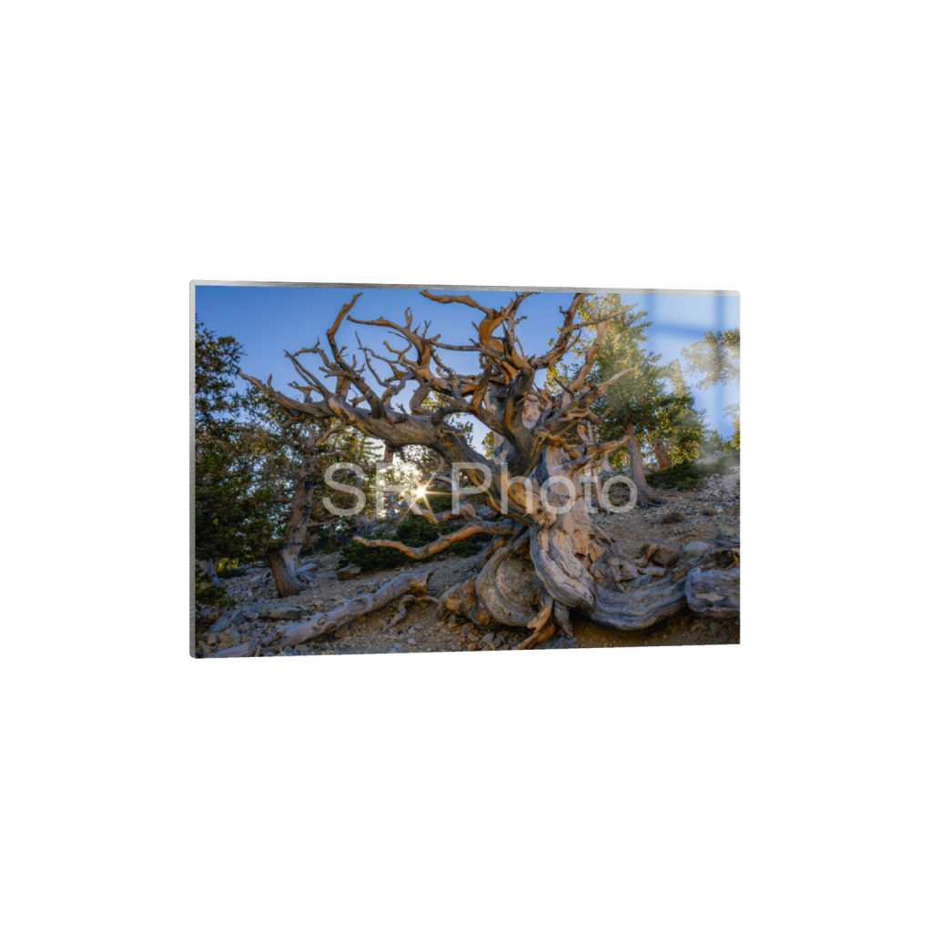 ptq_13_3_0_0_7500_5000_0_false_ffffff_0_0_2a9e01941a9118ee54be6ff913bc1c6e.png