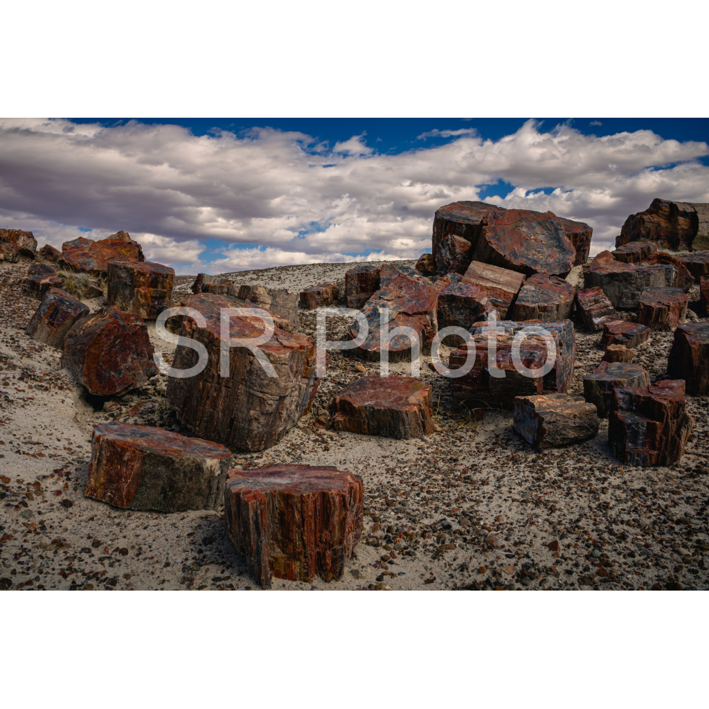 image_original_2a9e01941a9118ee54be6ff913bc1c6e.png