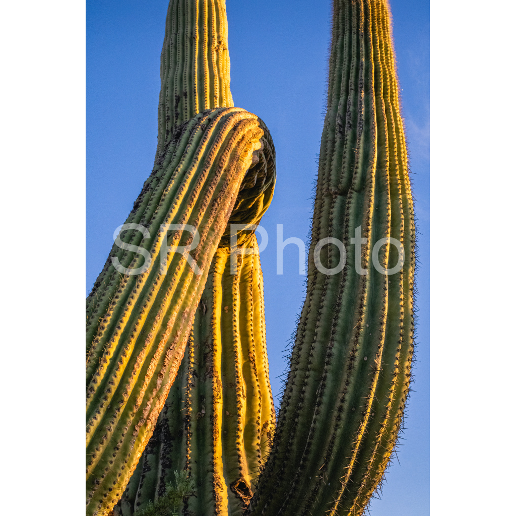 image_original_2a9e01941a9118ee54be6ff913bc1c6e.png