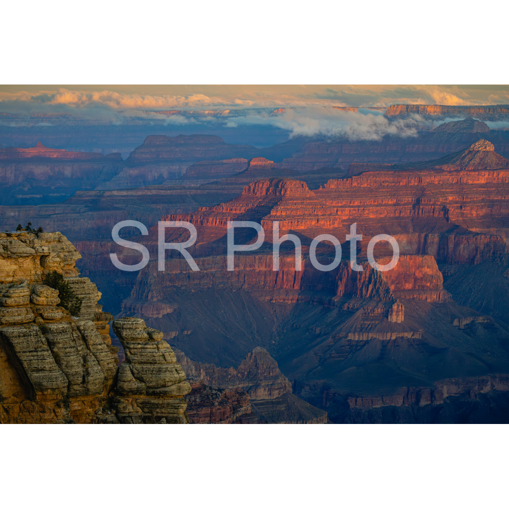image_original_2a9e01941a9118ee54be6ff913bc1c6e.png