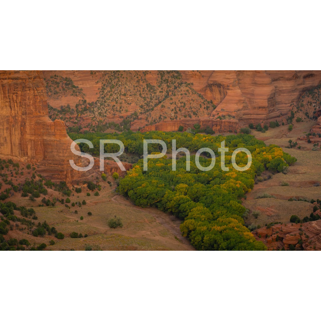 image_original_2a9e01941a9118ee54be6ff913bc1c6e.png