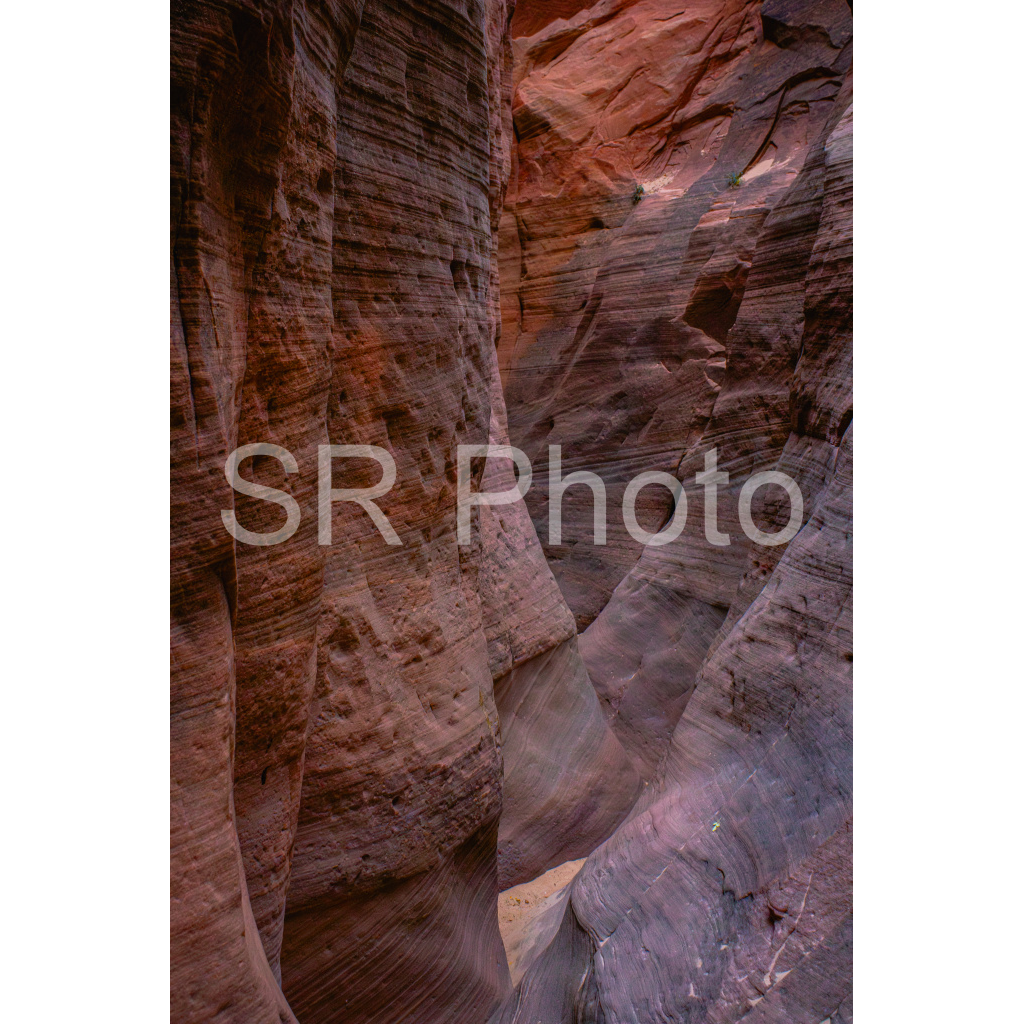 image_original_2a9e01941a9118ee54be6ff913bc1c6e.png