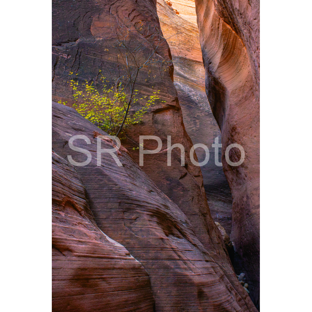 image_original_2a9e01941a9118ee54be6ff913bc1c6e.png